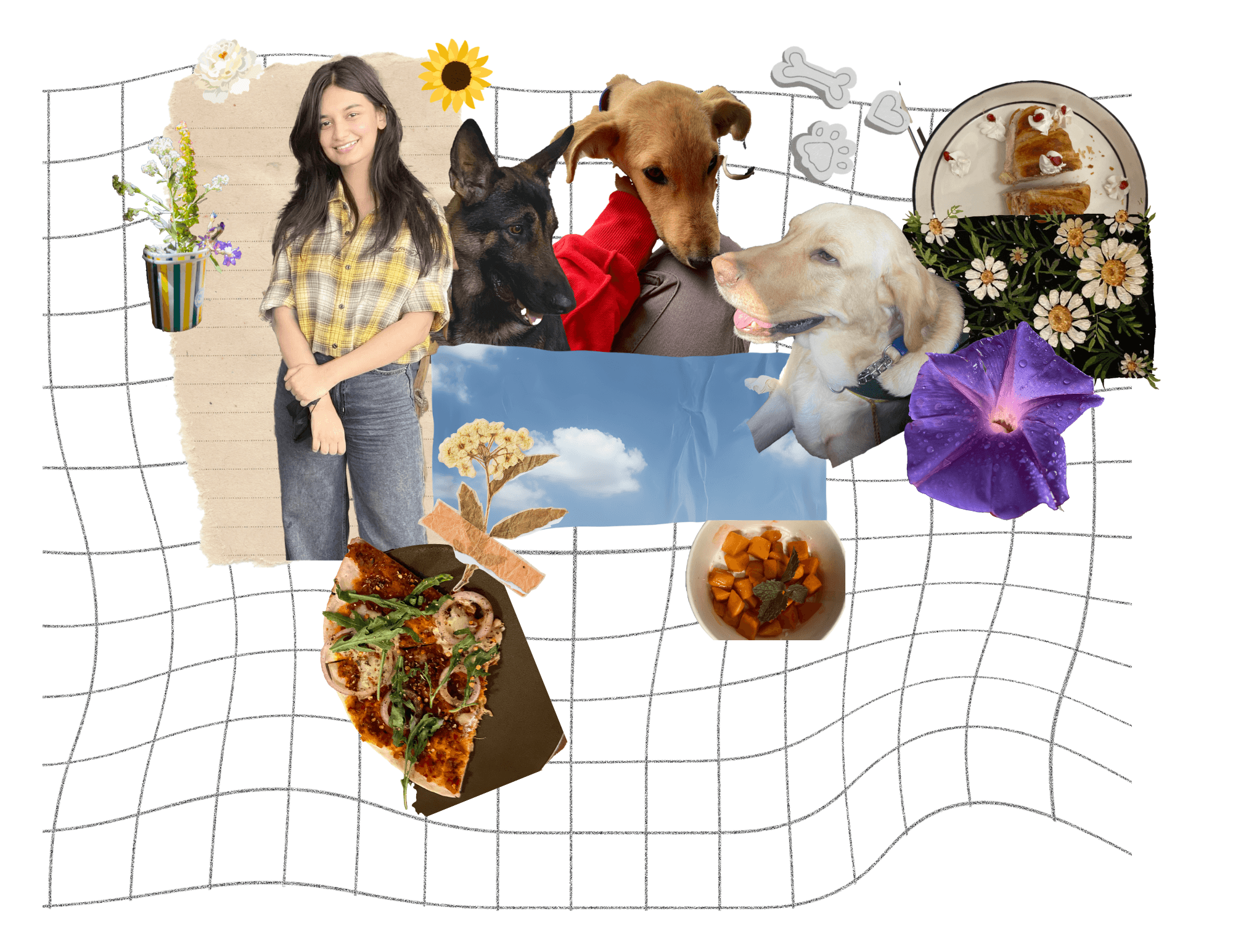 An image of Dreelio's dashboard