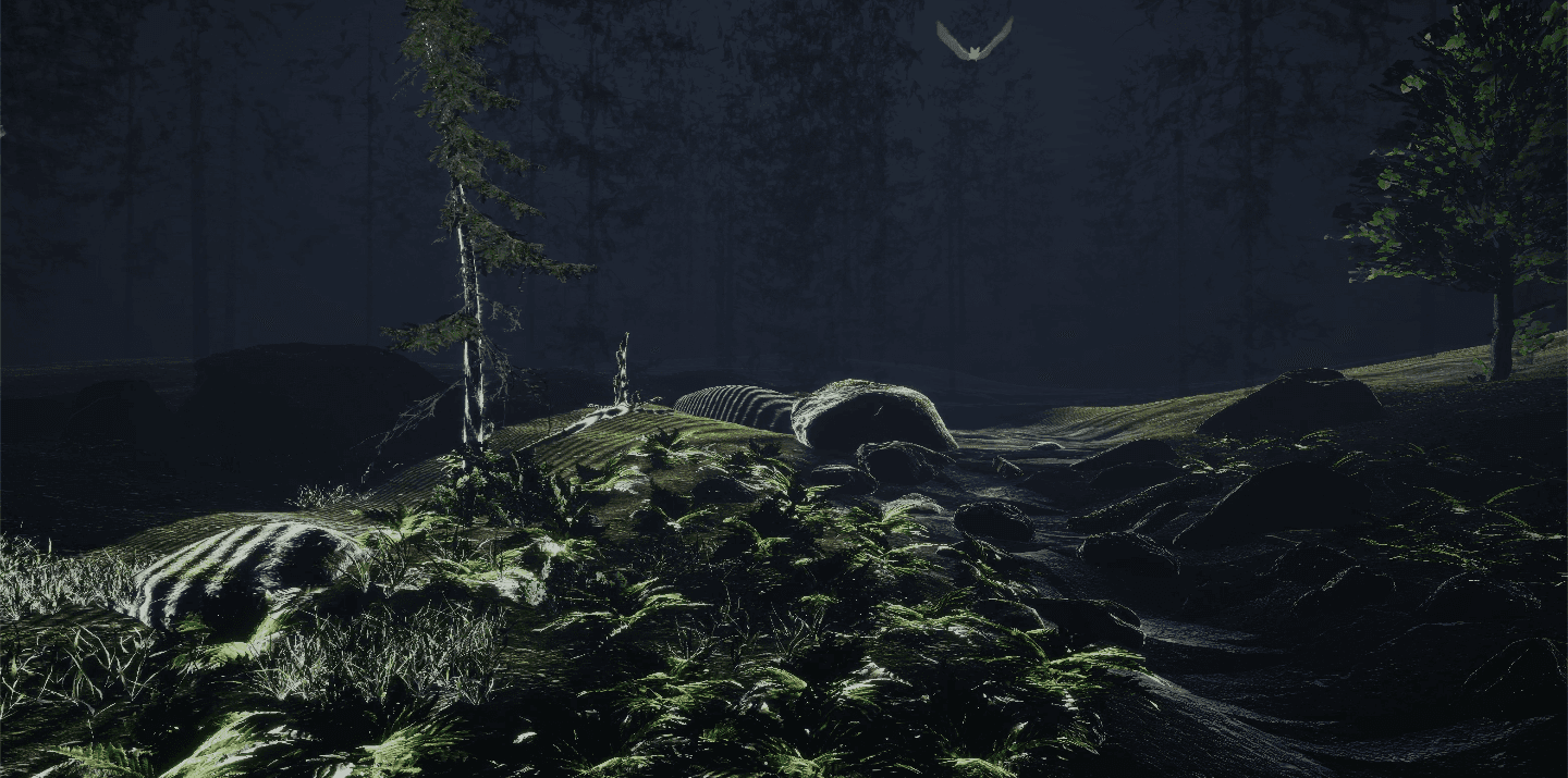 Sensory Odyssey canopy