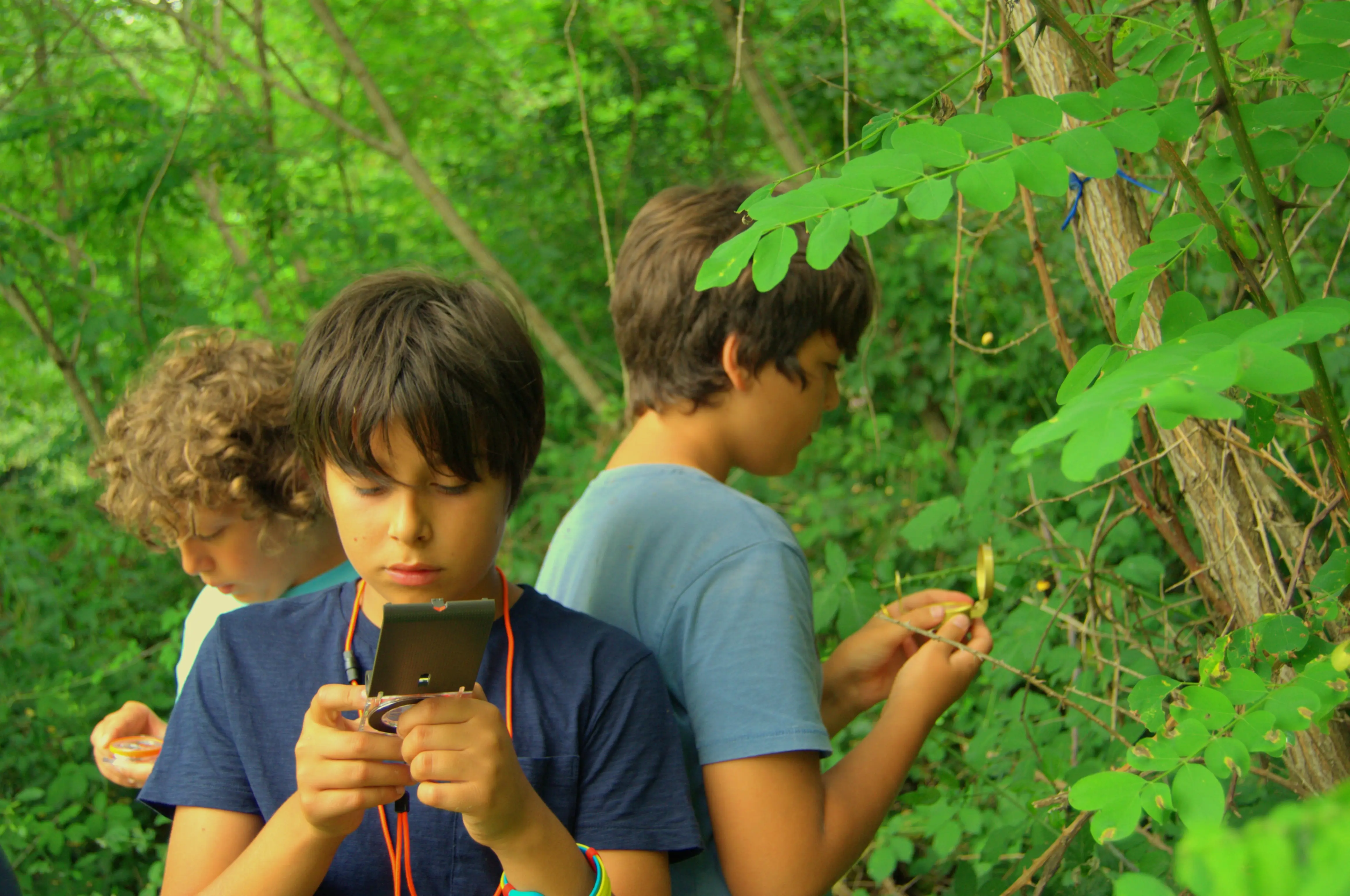 Bambini durante attività di orientamento nel bosco con bussola e osservazione natura, outdoor education e sicurezza outdoor nelle attività di educazione ambientale scuole
