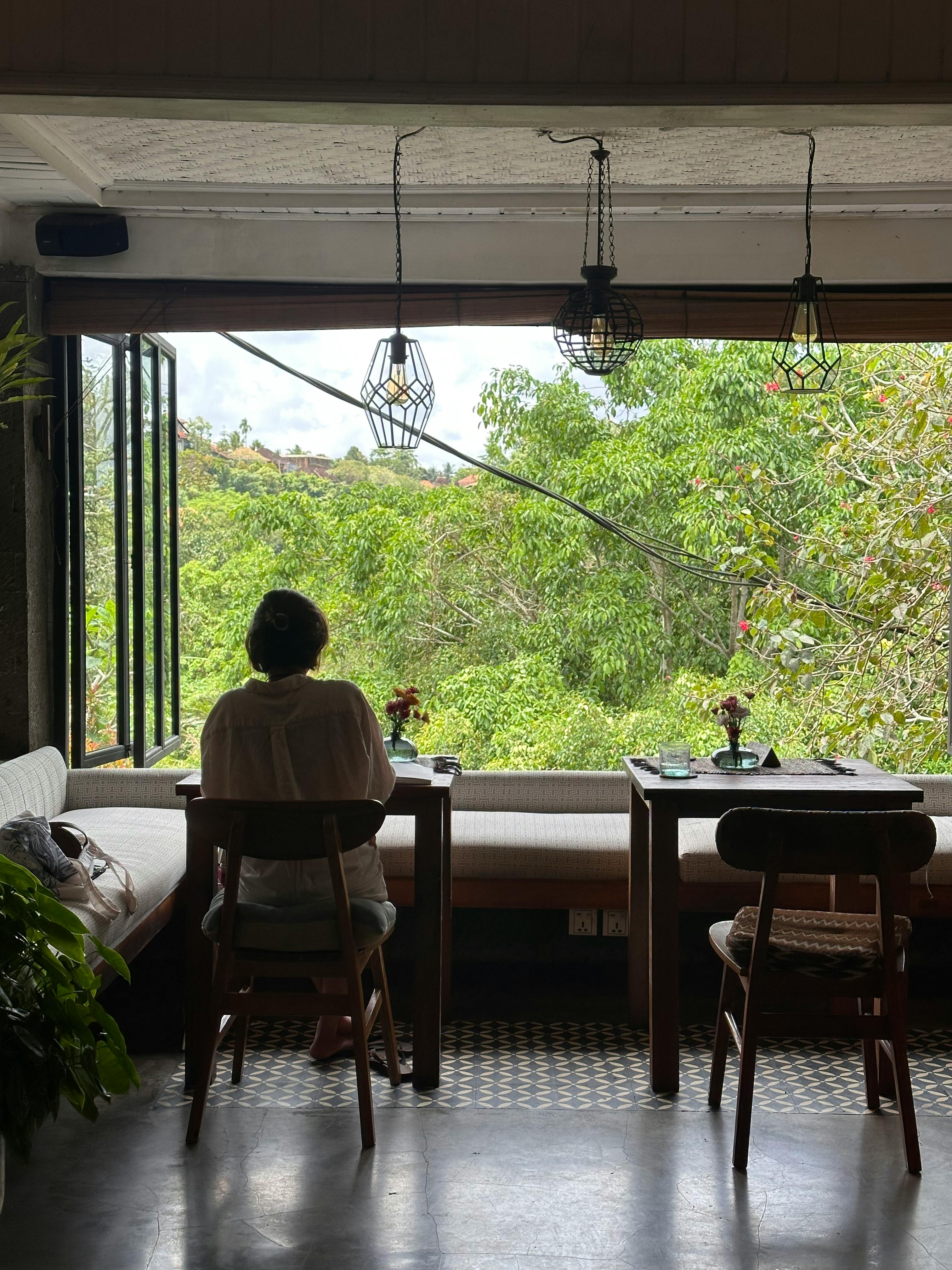 Close-up of a tree stump showing growth rings and a textured brown wood surface.