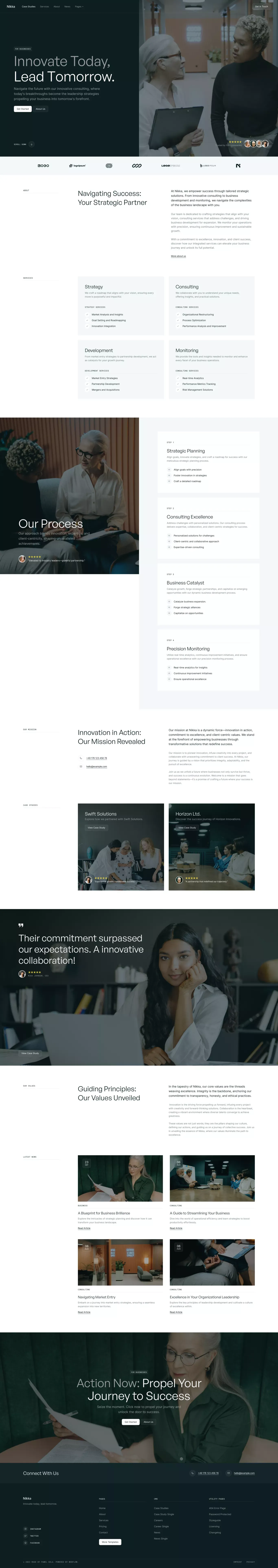 Nikka Website Page Template for Webflow landing page screenshot showcasing Finance and HR design
