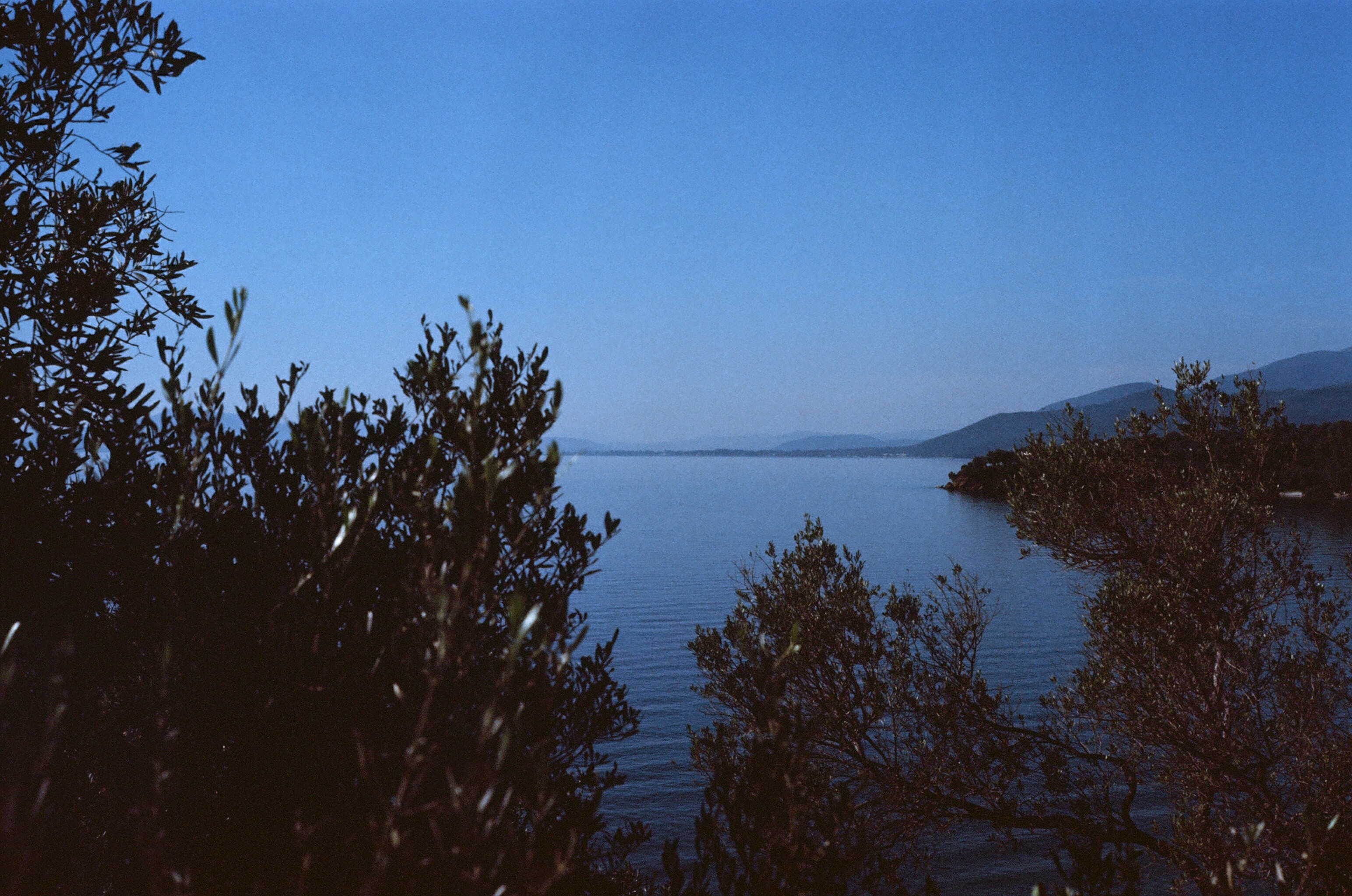 Sea and Mountains Behind Vegetation