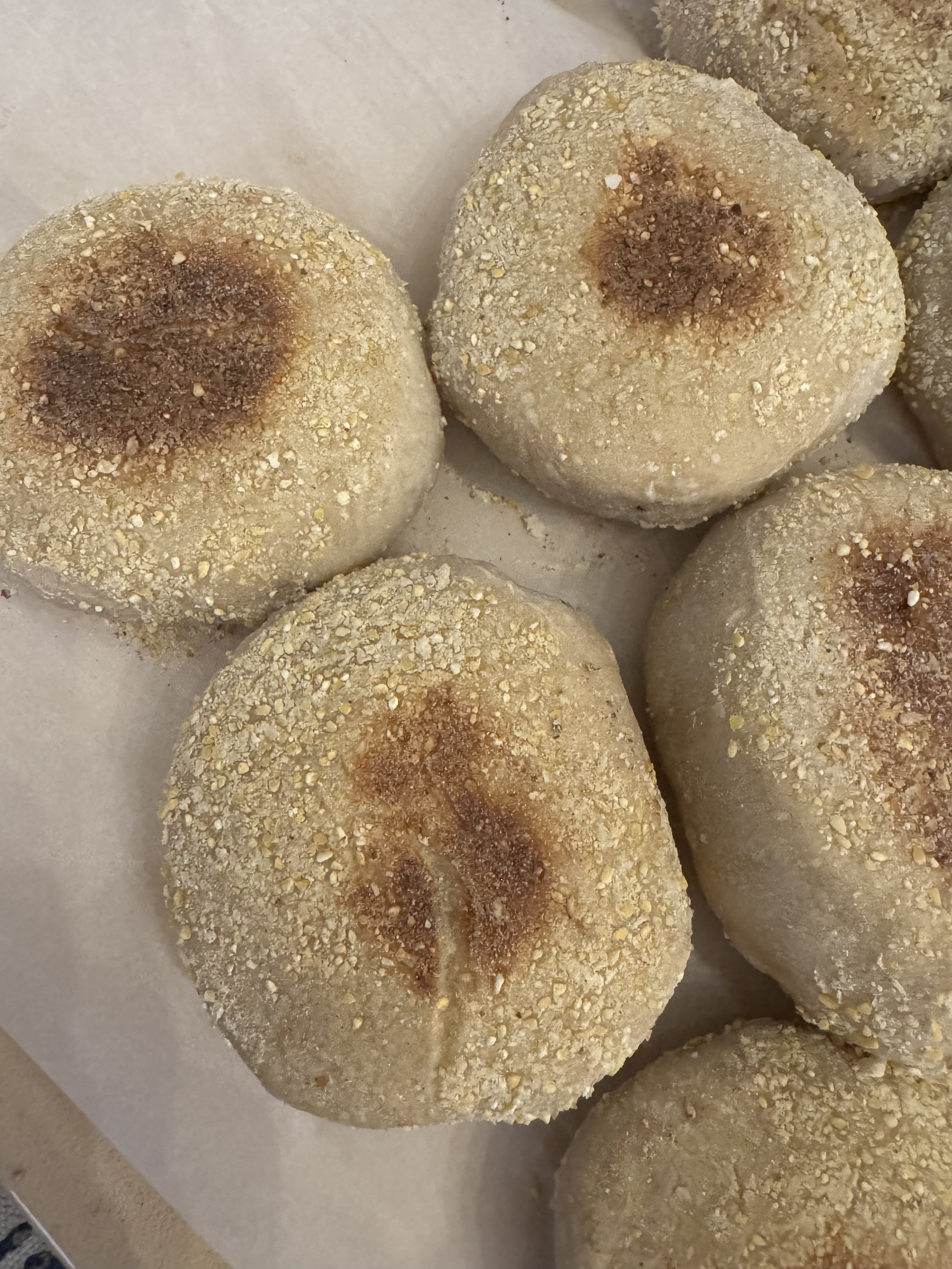 Sourdough english muffins shown on parchment paper fresh from the oven