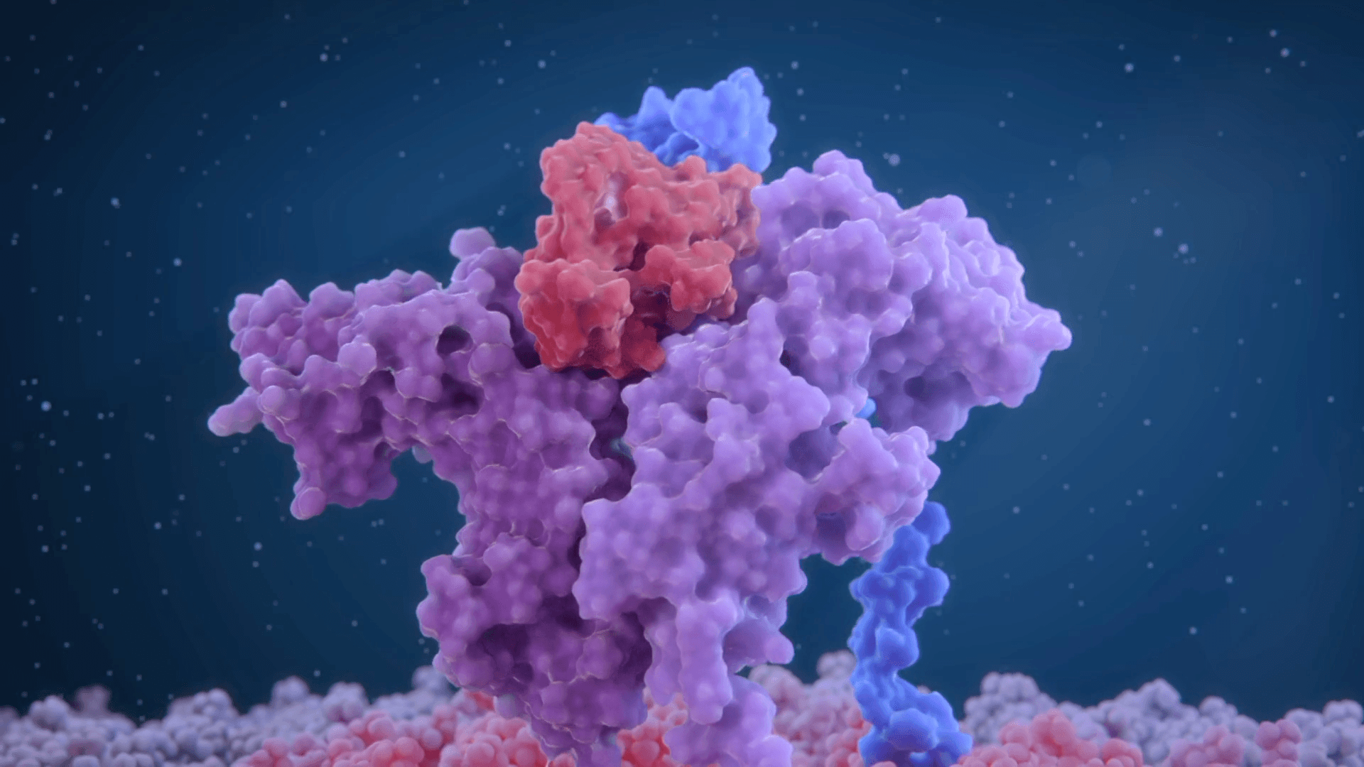 Simplified 3D visualization of the surface of an immune cells with IL-2 molecules bound to the receptors