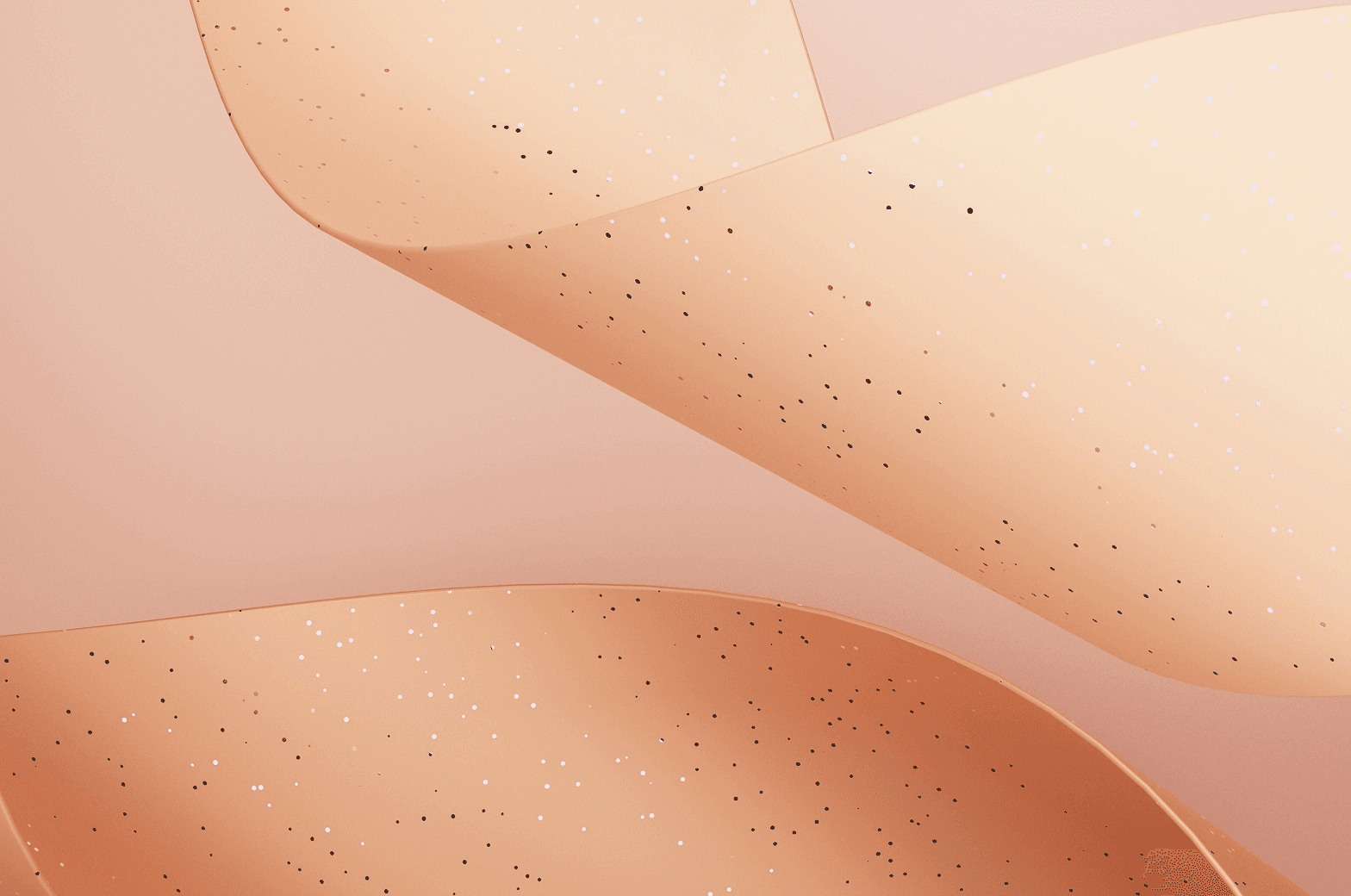 Case Study Image