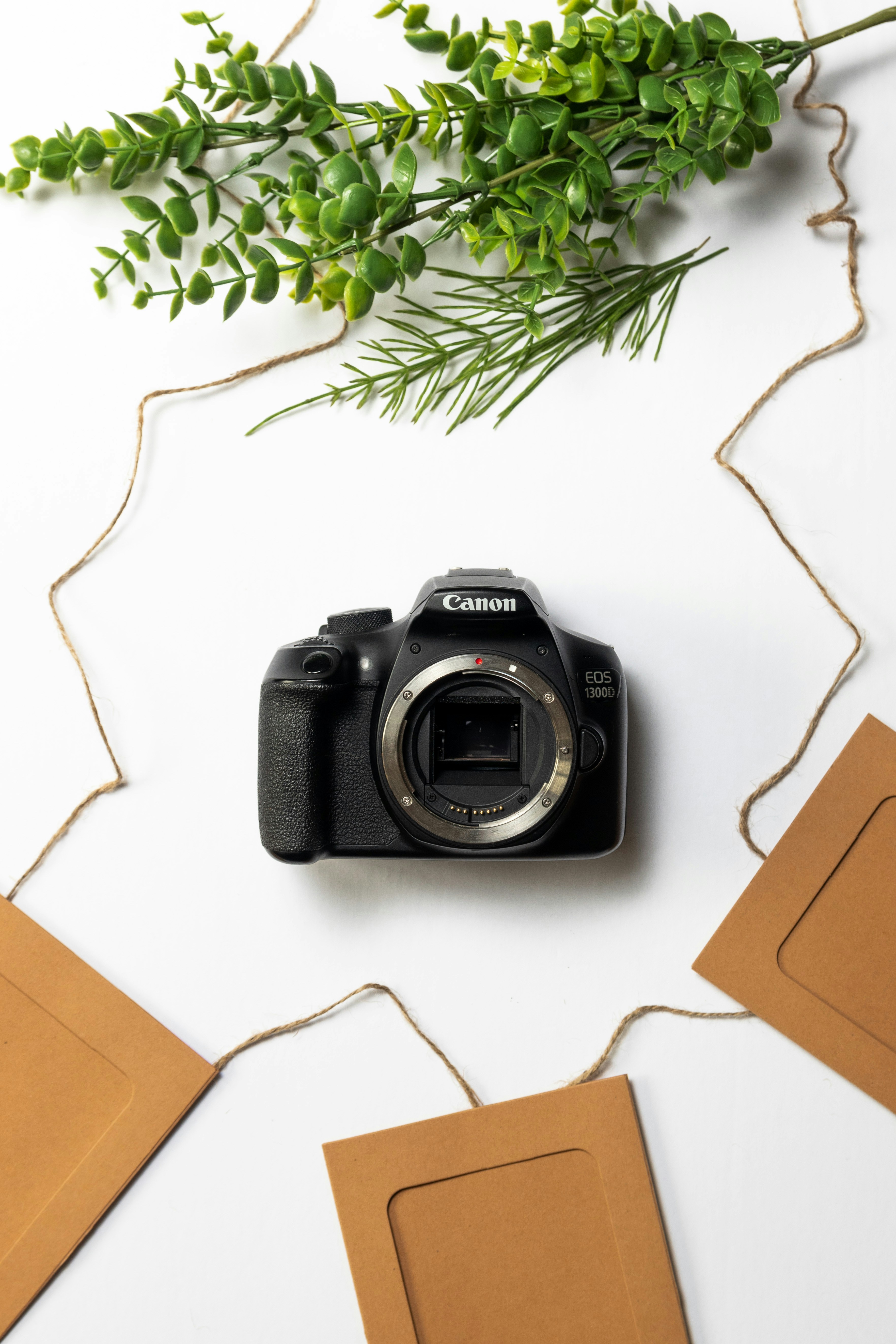 A picture of a camera on a table below some green leaves