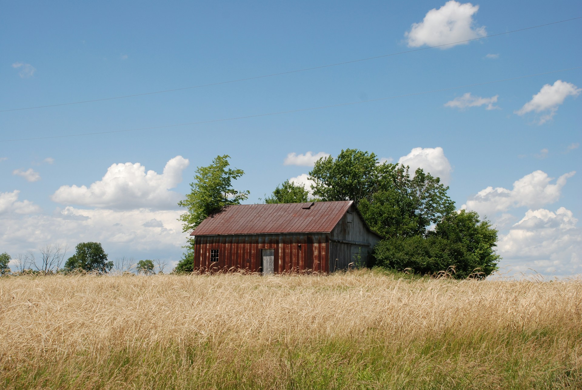 Old house in grassy field