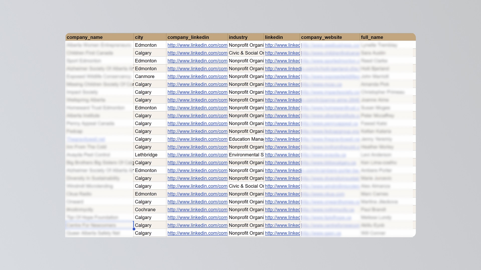 Large Project Gallery Image #4