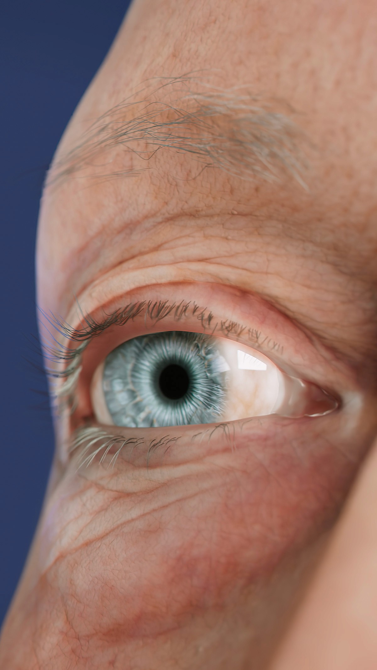3D visualization of an eye on the human face