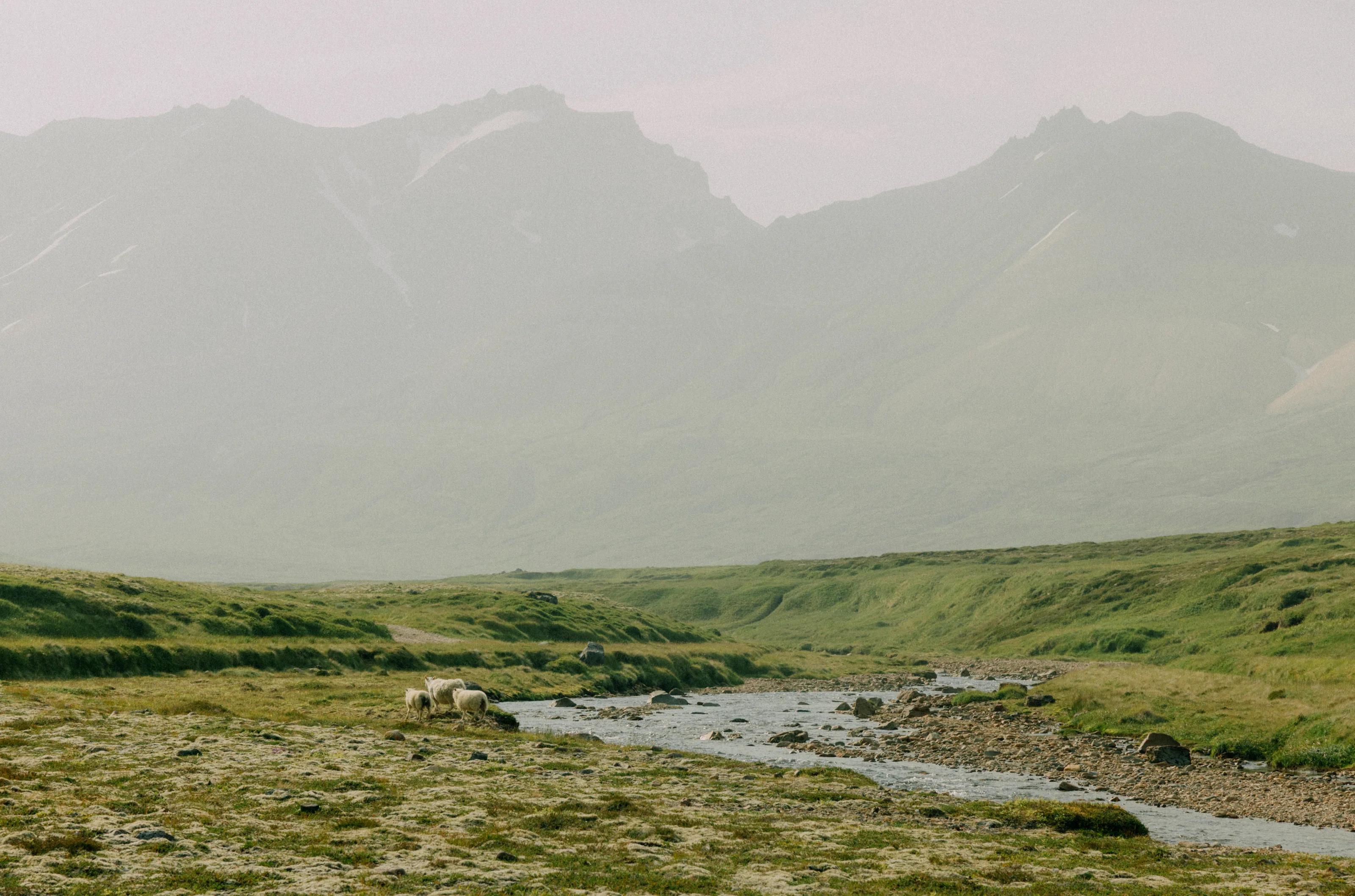 A snow-capped peak emerges from low cloud above a dark fjord