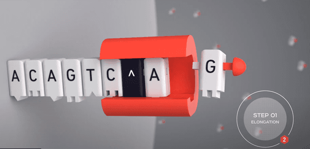 A still image of DNA Script’s oligo printing process where the red cap prevents unwanted nucleotides from being attached to the oligo strand.