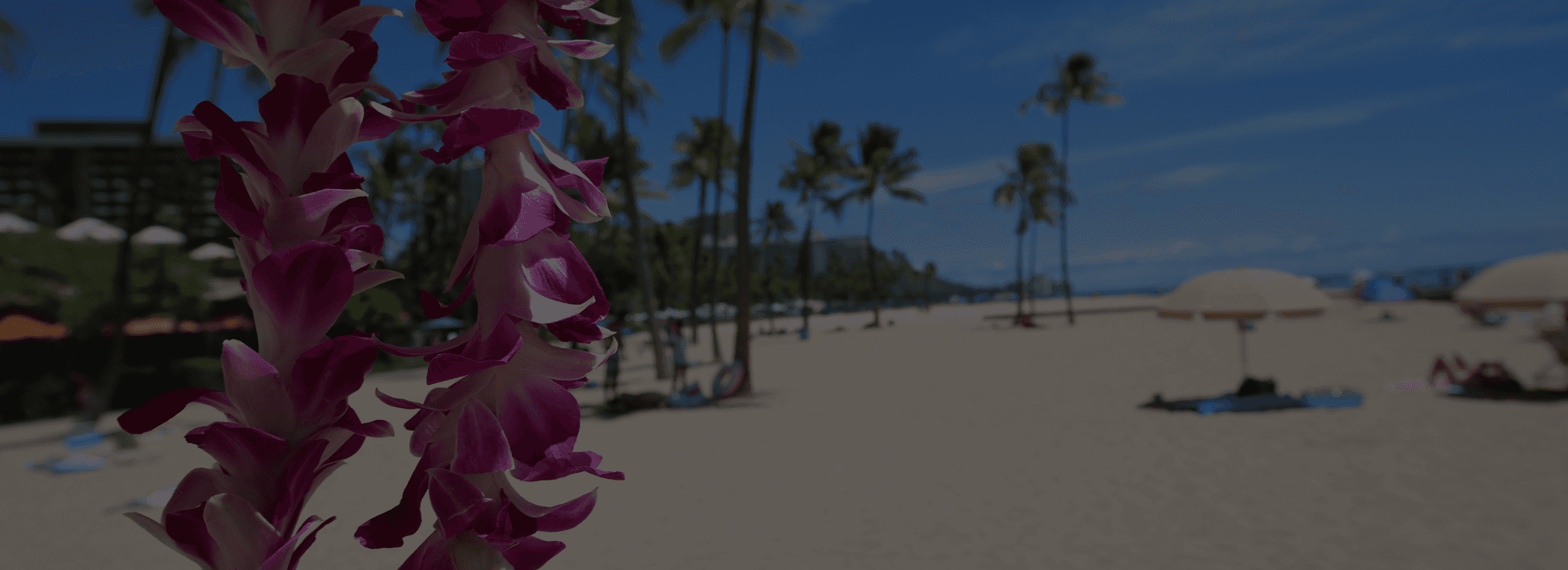 Real Estate House Image Background