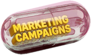 Marketing Campaigns capsule
