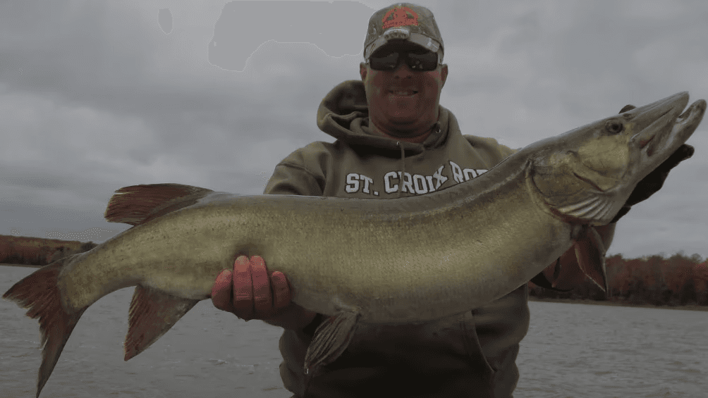 Northwoods fishing guide Andy Hendo holding a musky on the water