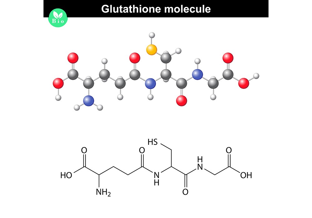 glutathione molecule graphic