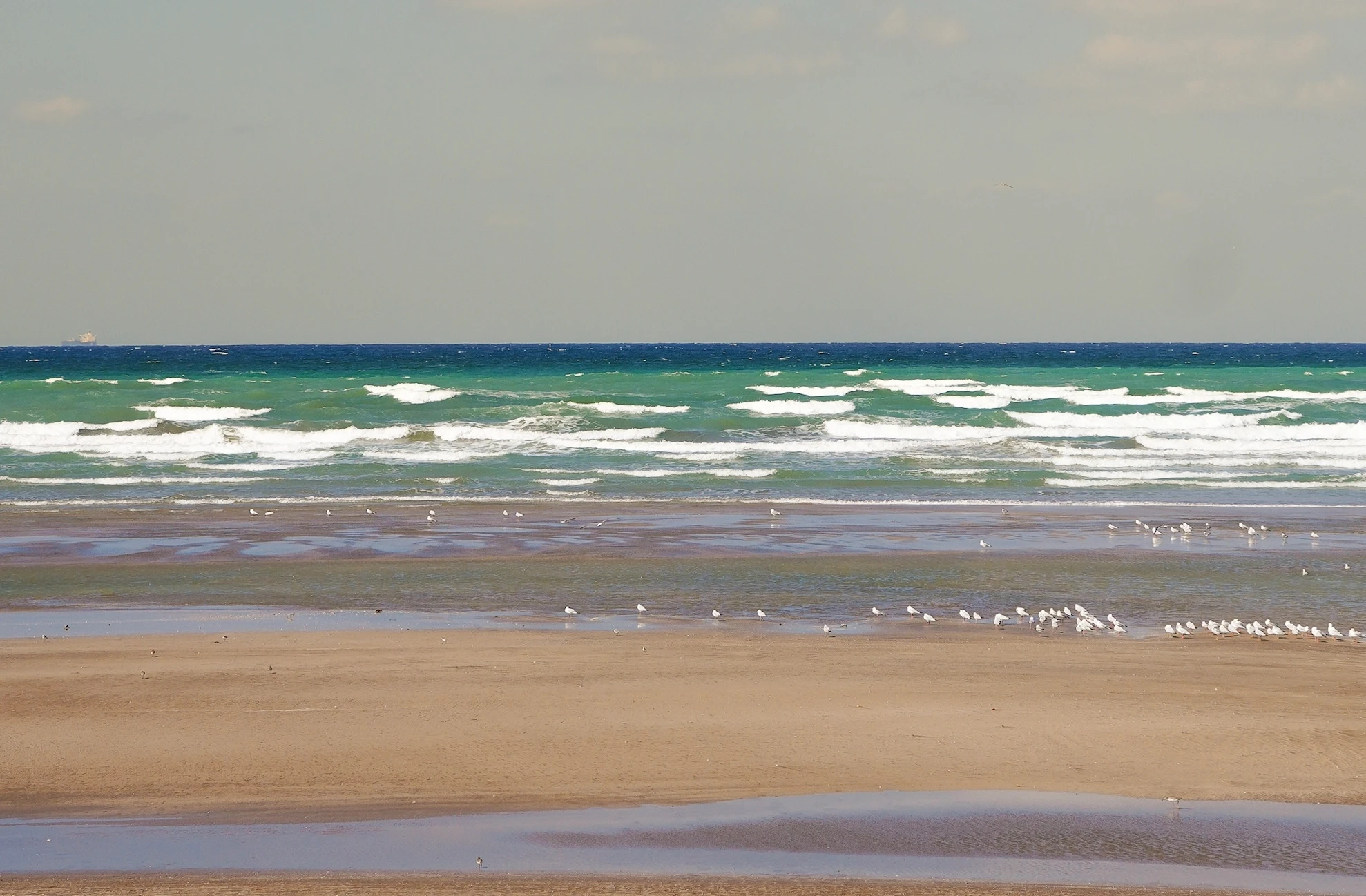 golvend water aan Qurum beach in Muscat