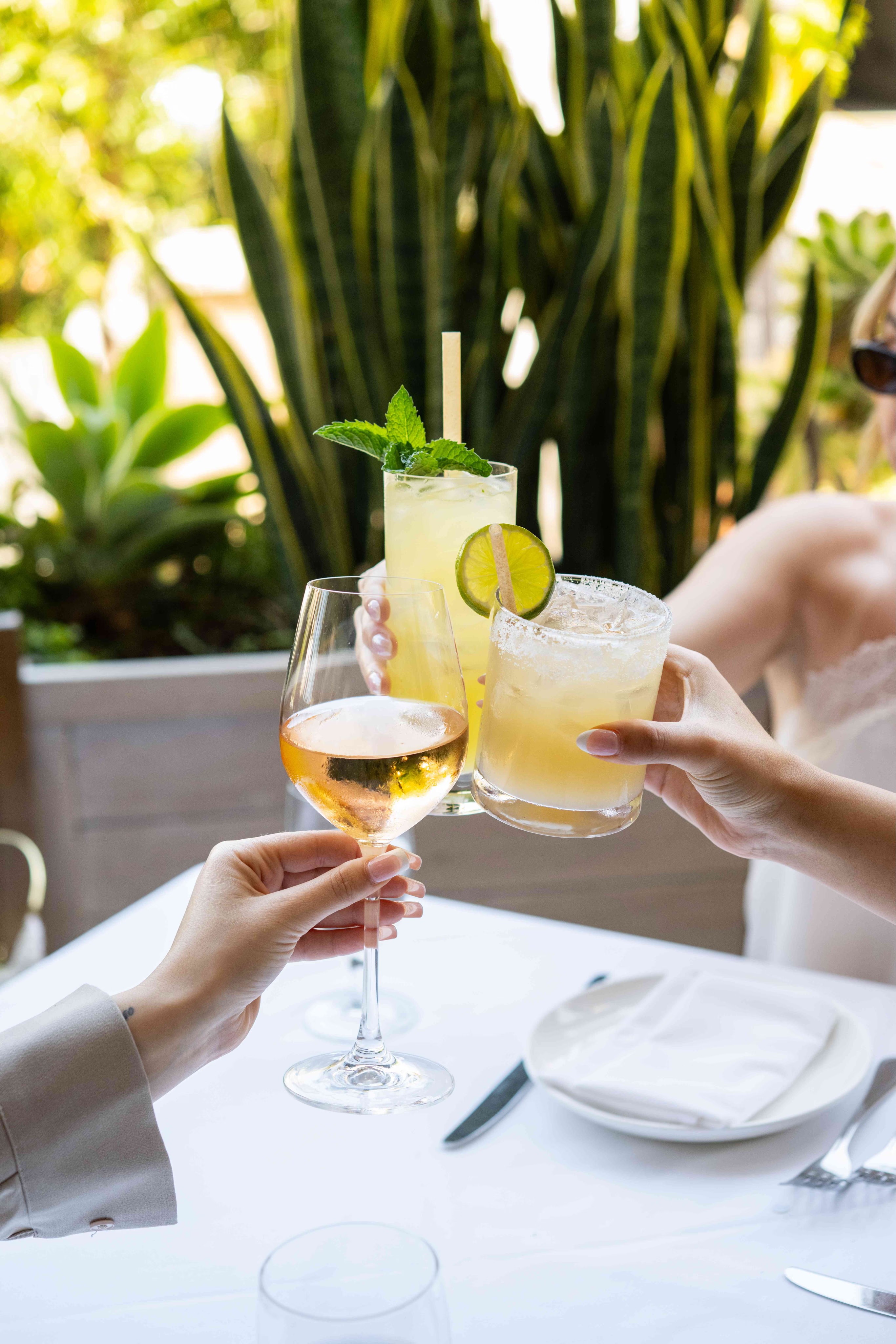 Two people clinking glasses outdoors, surrounded by greenery, enjoying a casual meal together.