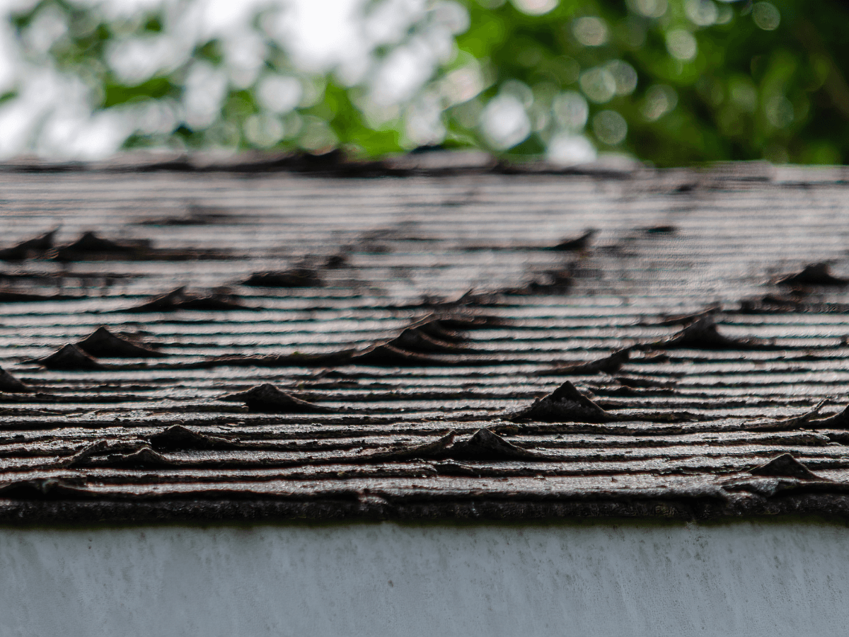 Curled Shingles Following Intense Heat Waves in Oklahoma
