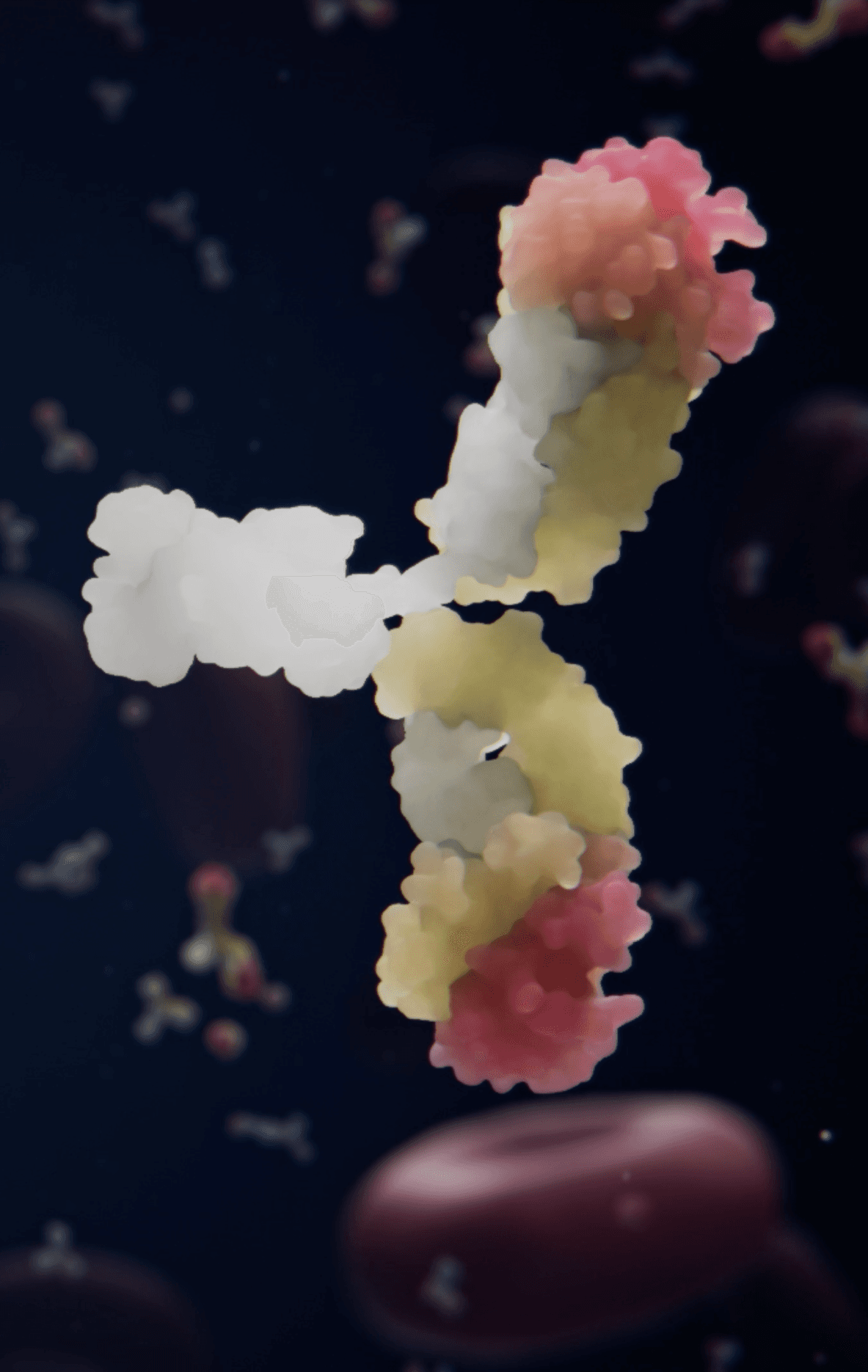 Anti-TL1A antibodies in the blood