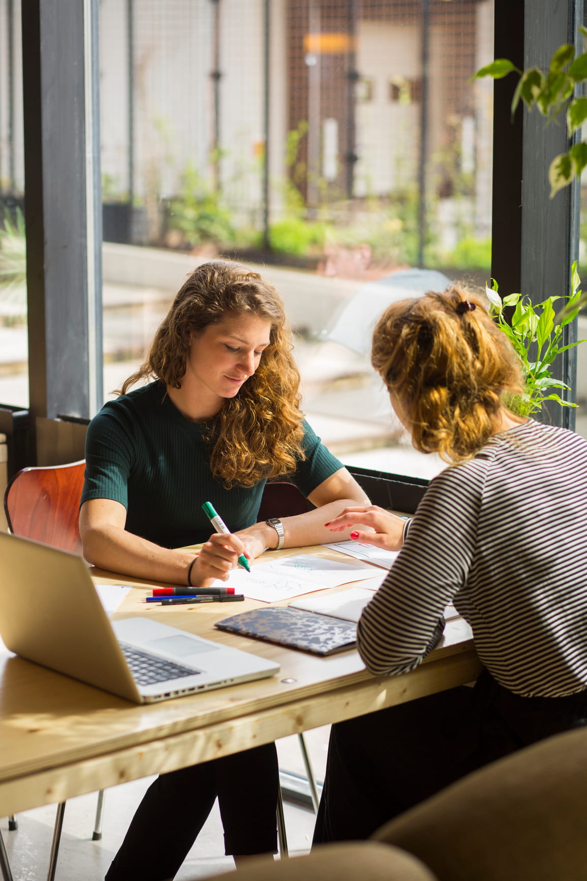 Coworkers collaborating together