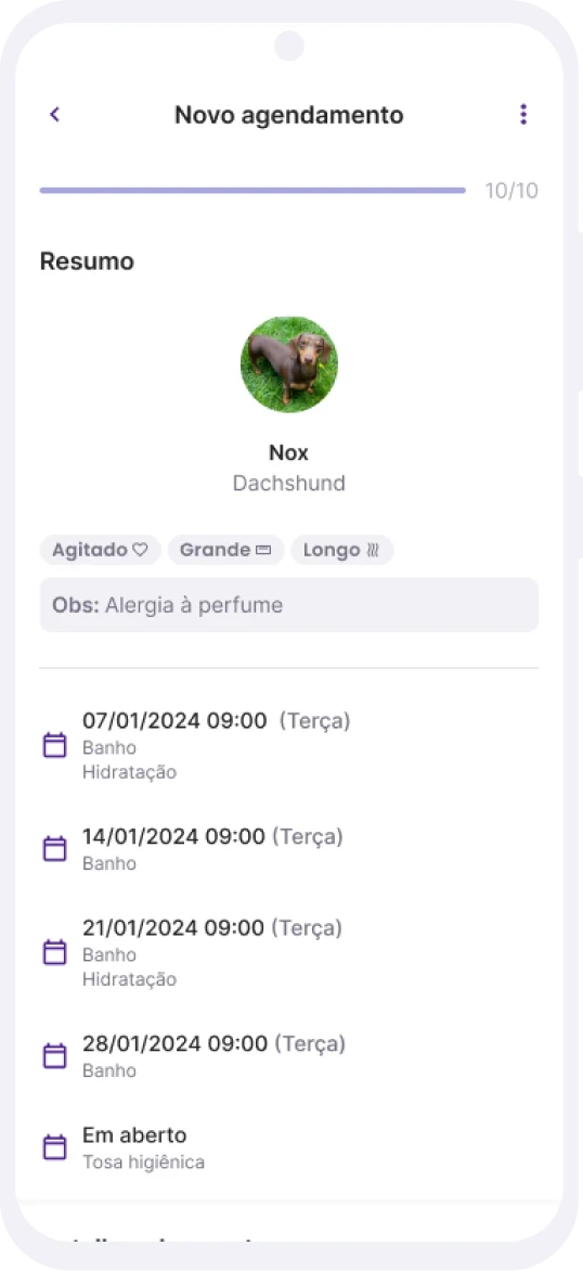 Feche um pacote, o resto a gente controla puplin