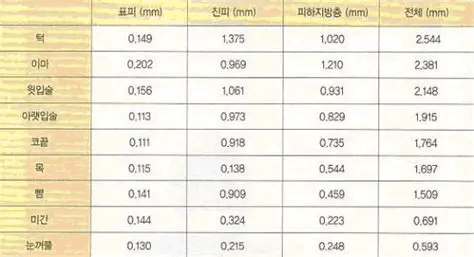 위치별 피부두께 뷰티스톤의원 | 합정피부과