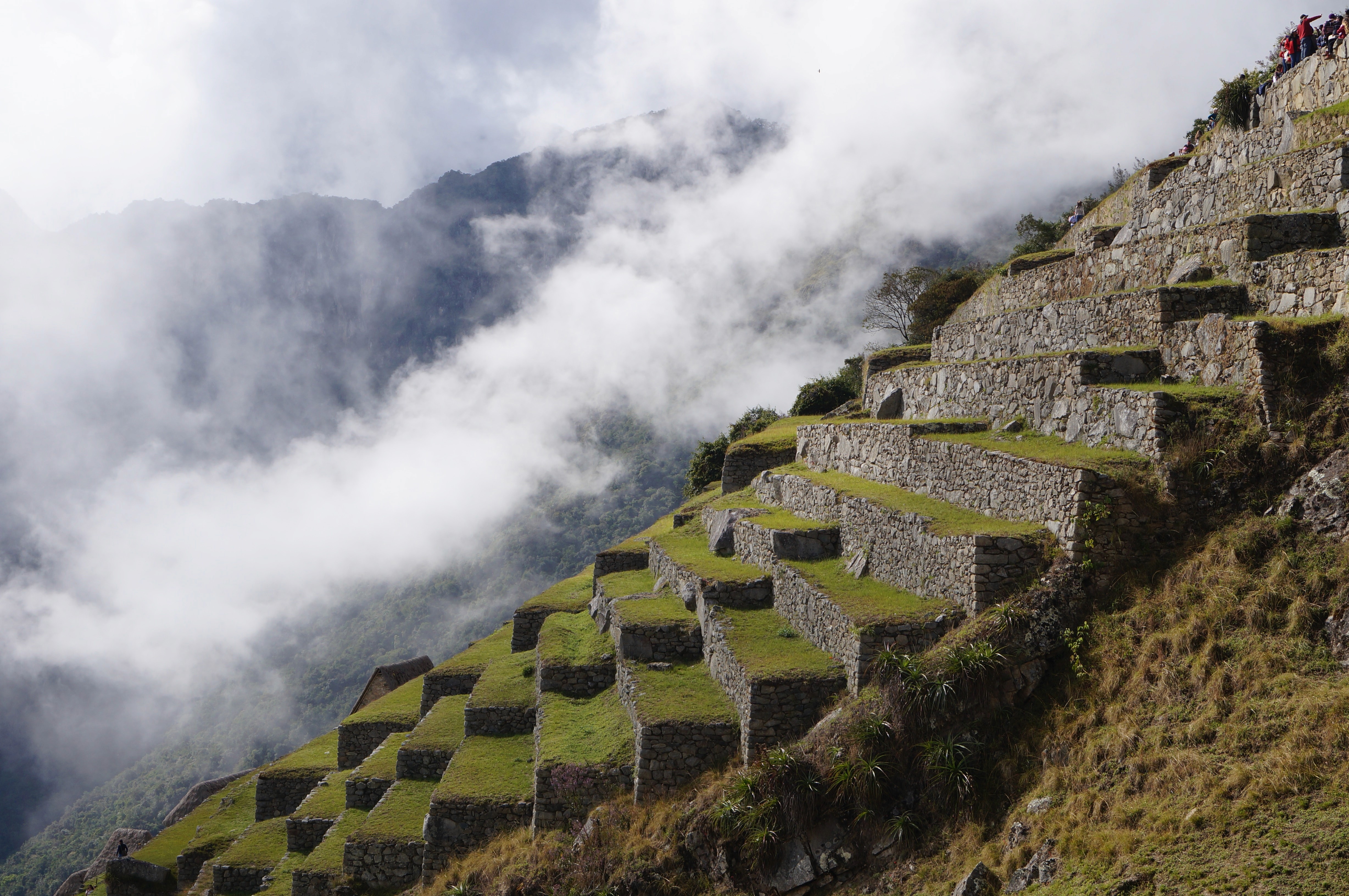 Terrassen von Machu Picchu