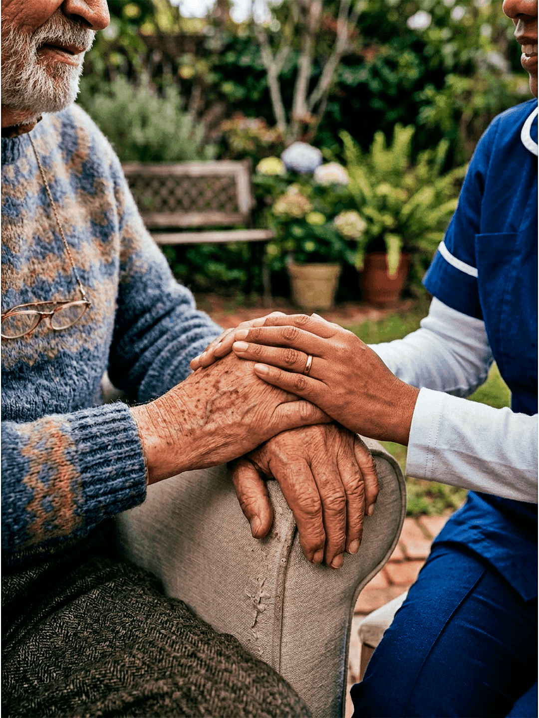 Companion and Elder Image