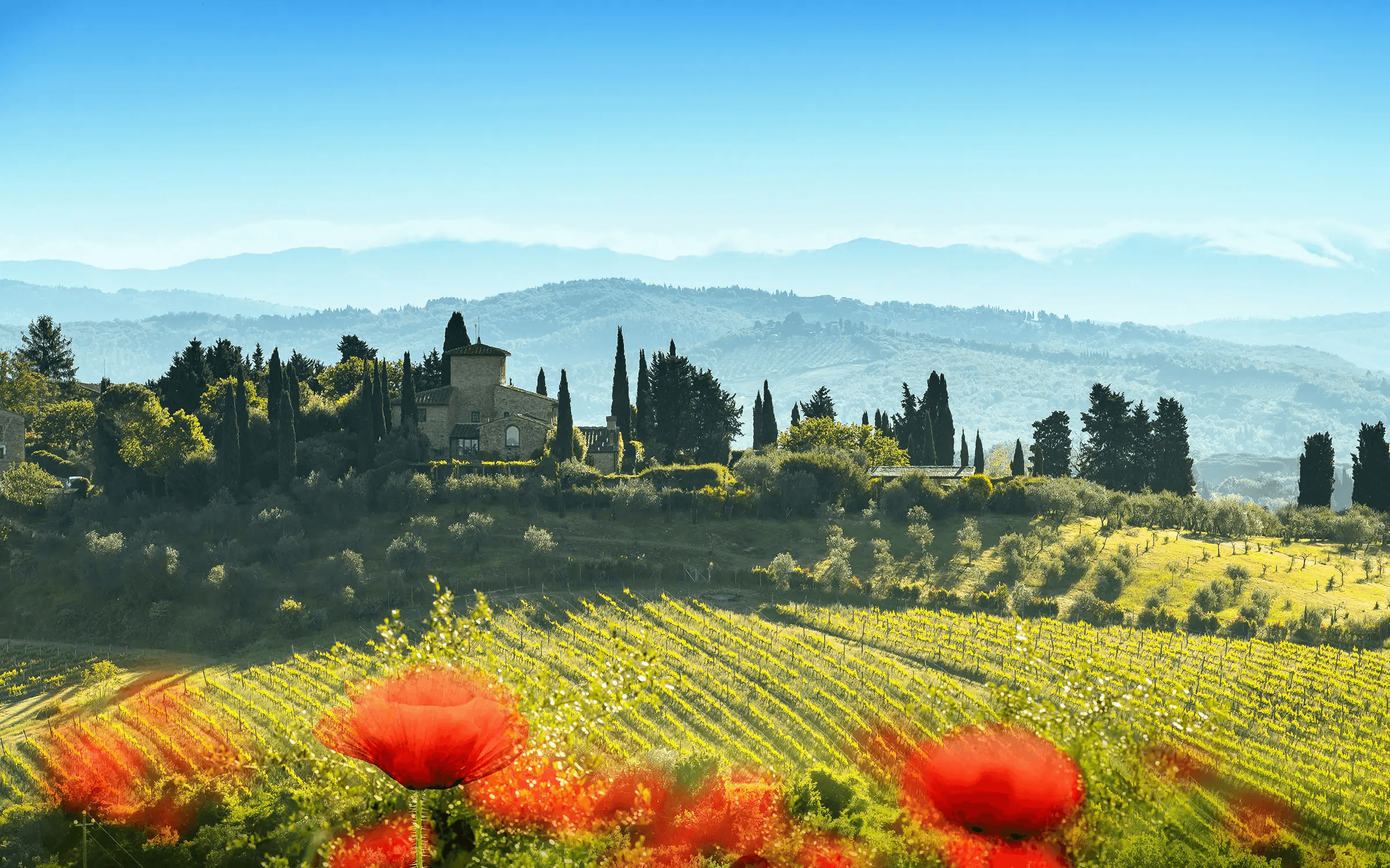 Cykling i “klassiska” Toscana – från Lucca till Florens via Pisa