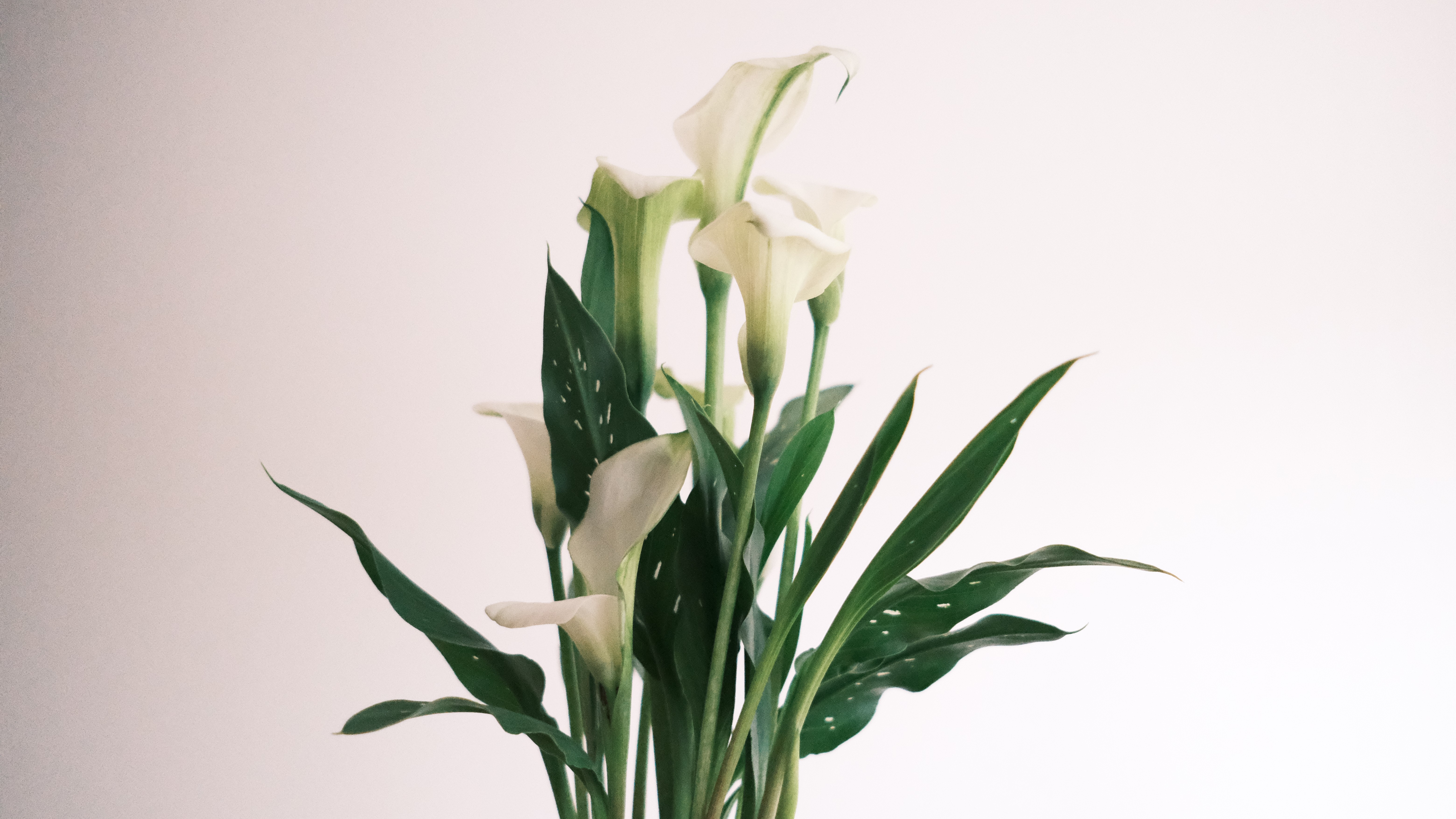 outside of an apartment