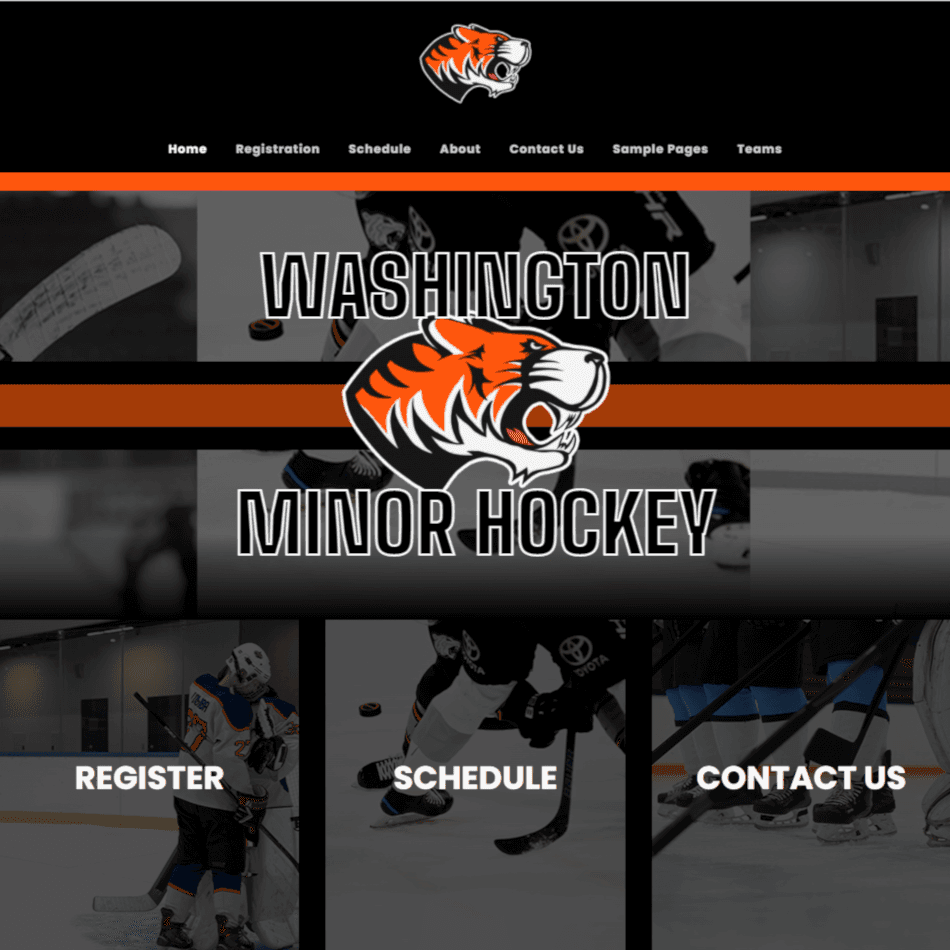 TeamLinkt's Website Template Screenshot