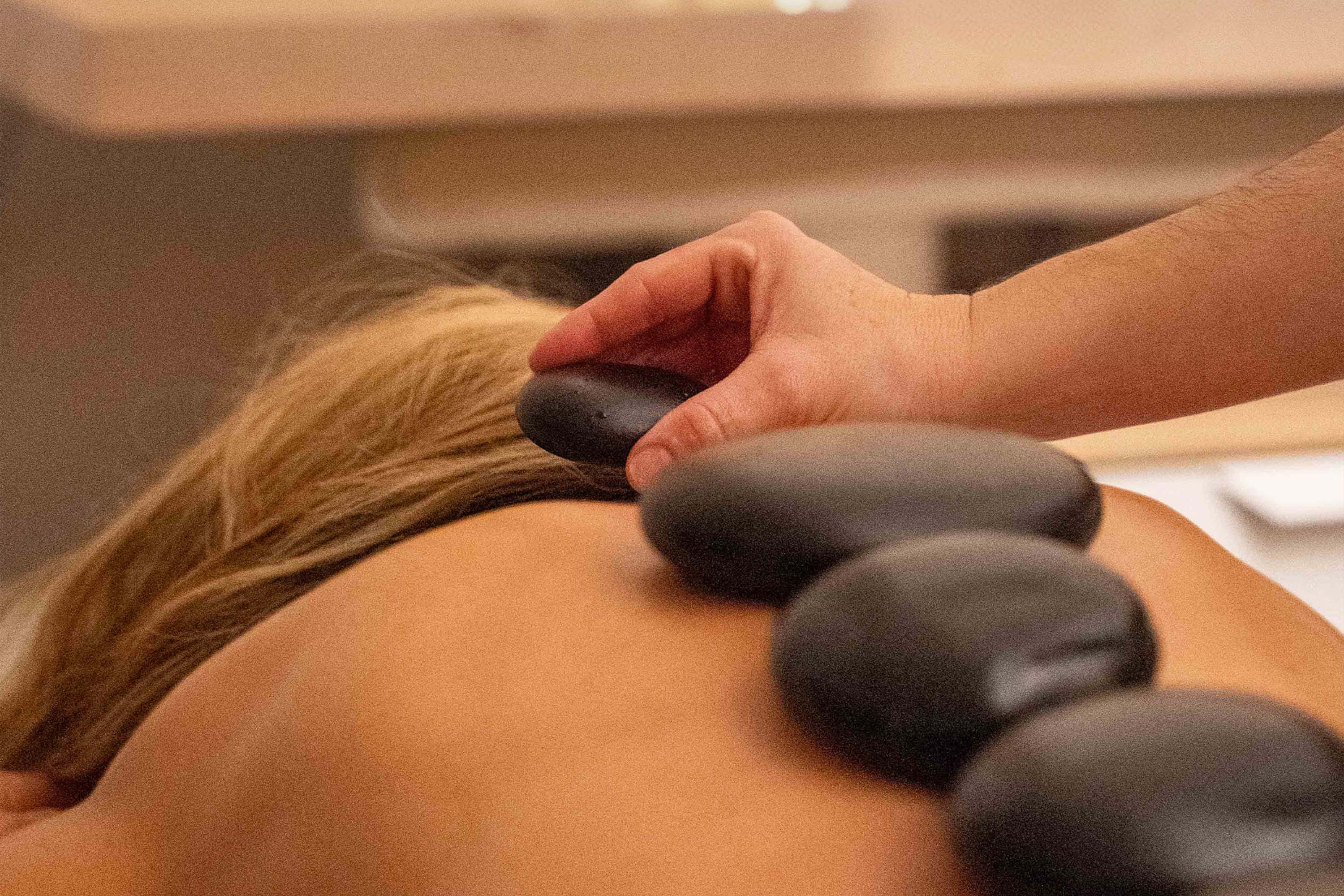 Close-up of lush, dark green leaves, some glossy and wet, against a muted background.