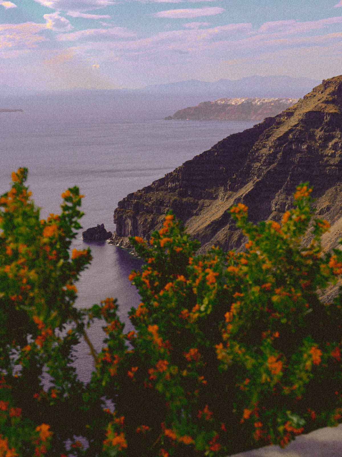 Rocky cliffs over an ocean, with flowers in the foreground.