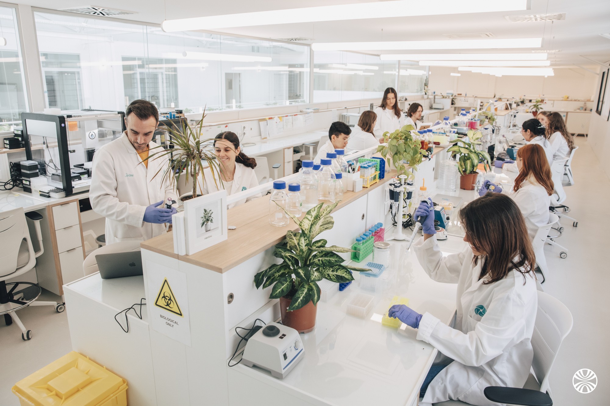 Neoplants scientists working together across laboratory benches at The Seed.