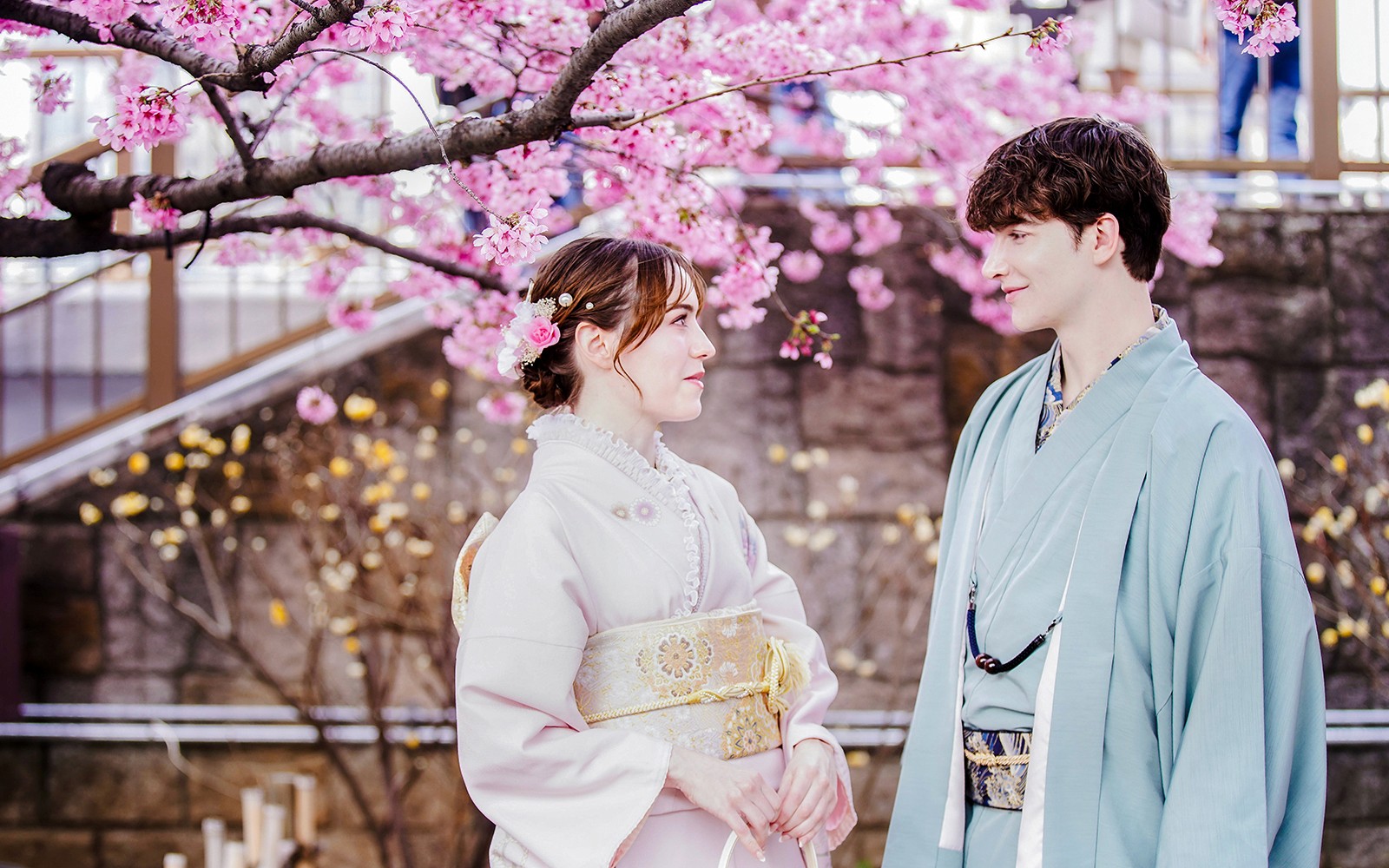 身穿和服的情侣在日本樱花树下。