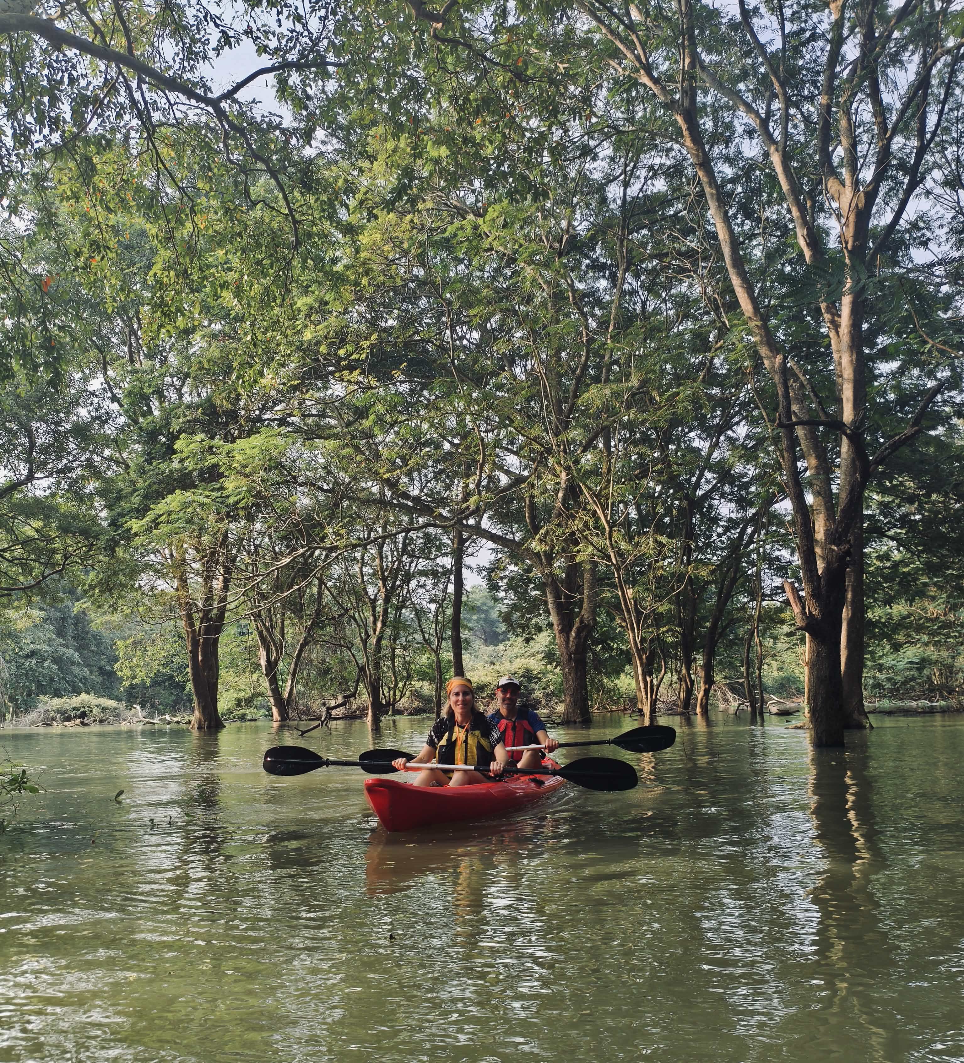 red train travelling near body of water