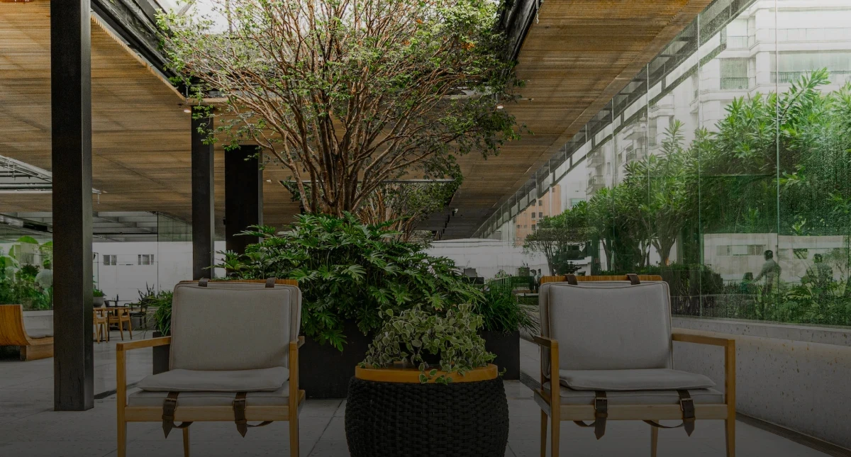 imagem de lugar com várias plantas espalhadas, ressaltando a natureza e a sustentabilidade de um projeto arquitetônico bem feito.
