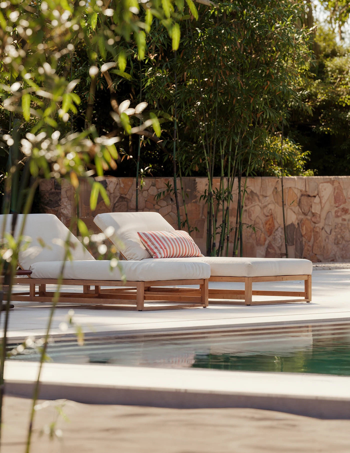 Bottles of olive standing on the marble counter