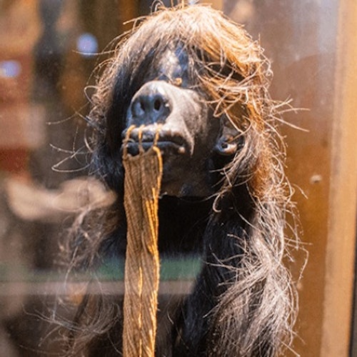 Panama City Beach: Ripley's Attractions Combo Pass: Ripley's Believe It or Not!, Mirror Maze and 7D Moving Theater