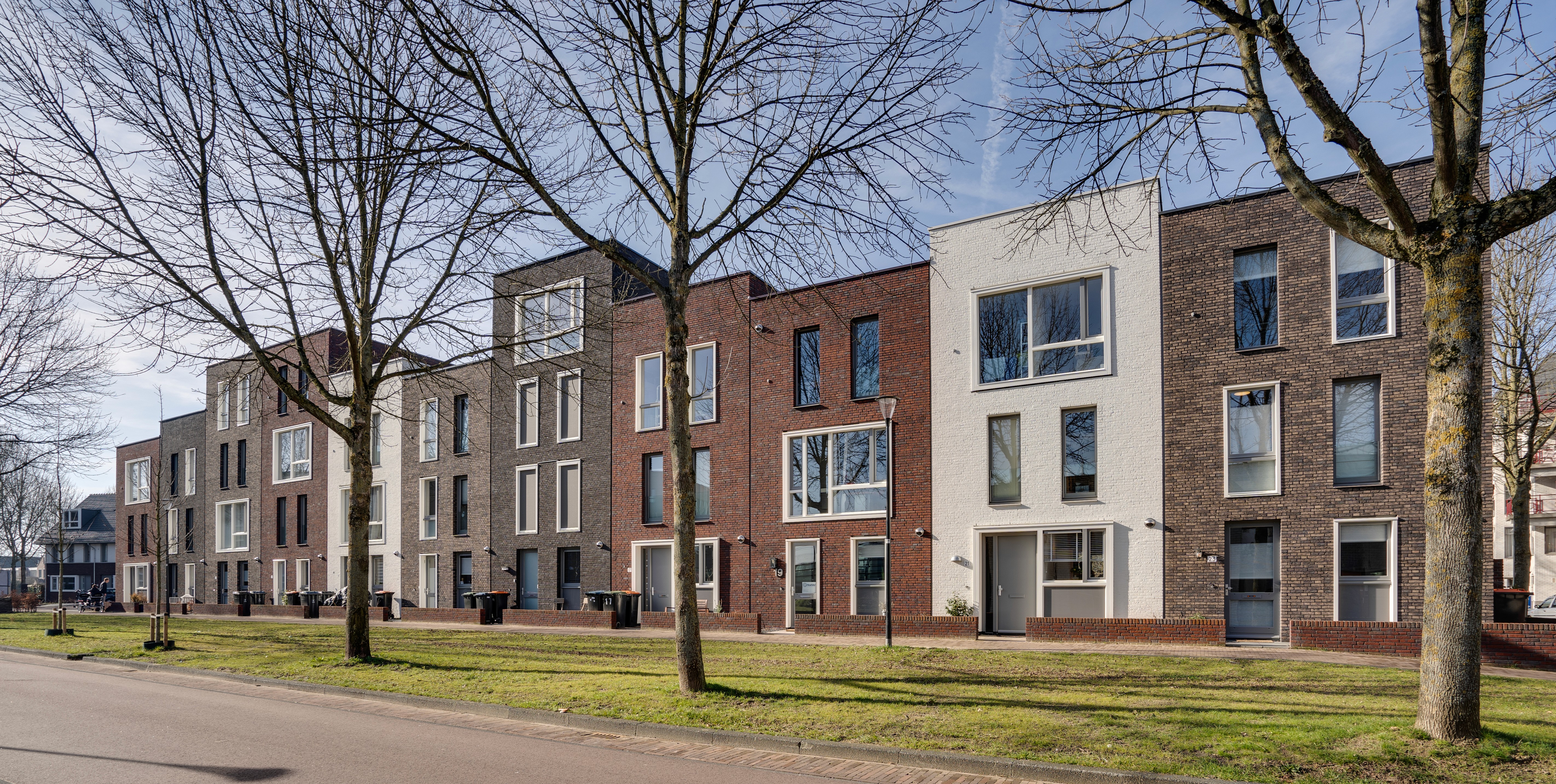 planters with plant near area rug inside room