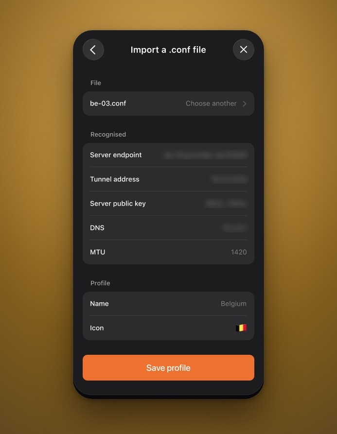 Every value read from the file, before you save.