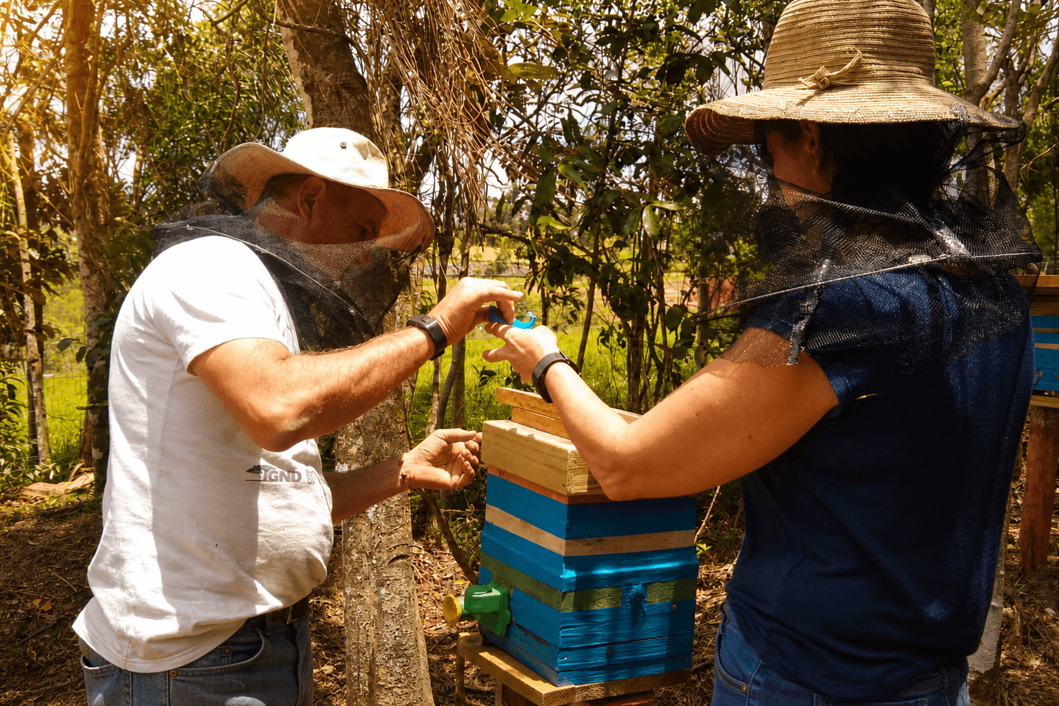 Estrutura rural cercada por vegetação no Sítio TerraMellis