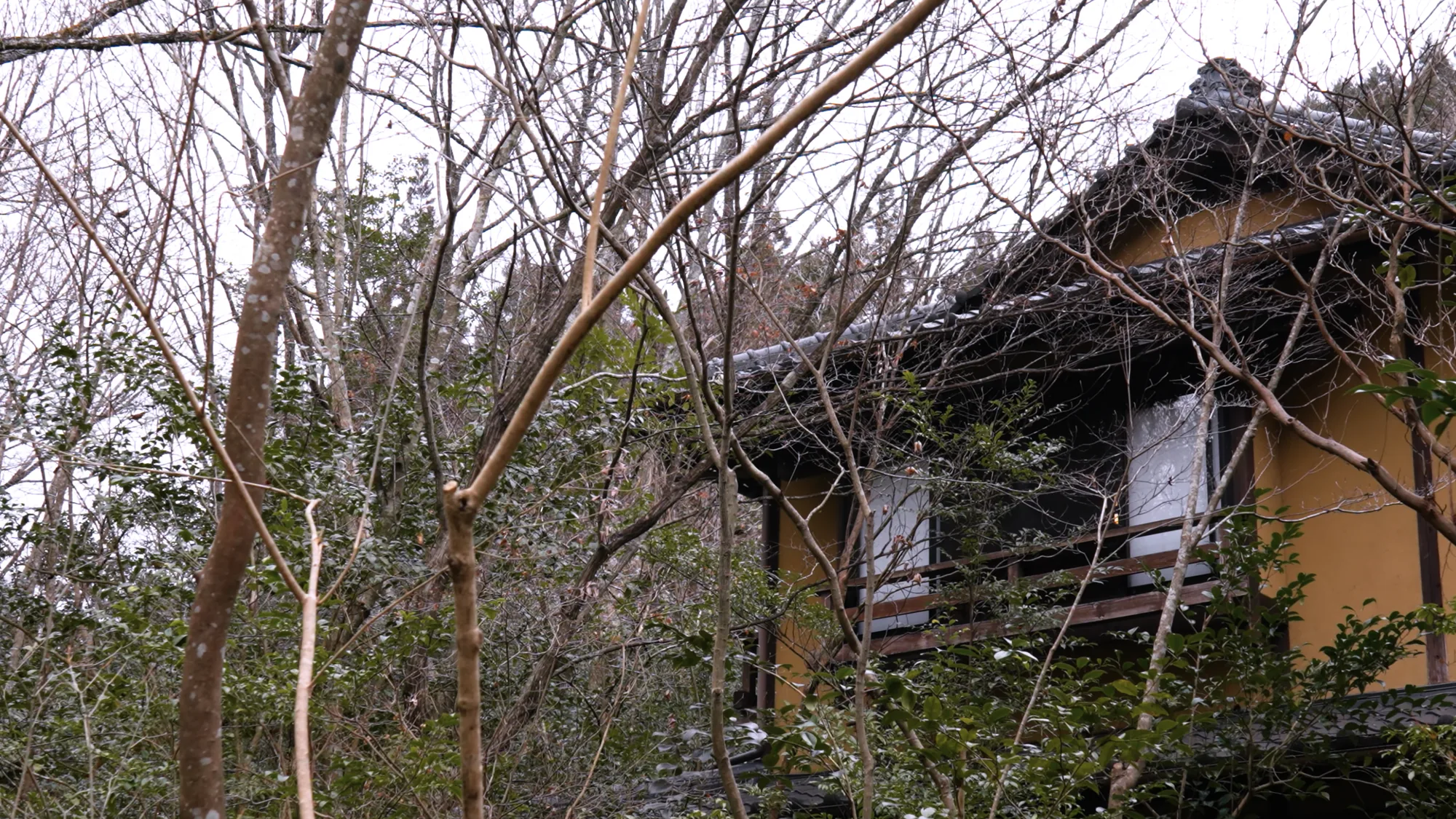 An ochre-walled inn at Kurokawa Onsen among bare winter trees