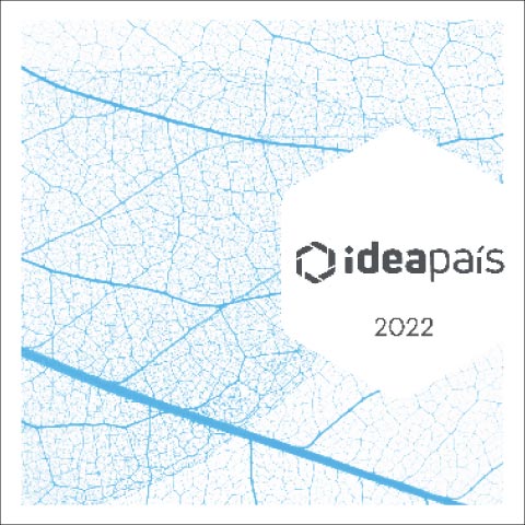 Portada de Memoria Anual 2022, documento de transparencia de IdeaPaís, mostrando un diseño con formas abstractas utilizando el esqueleto de una hoja de un árbol.