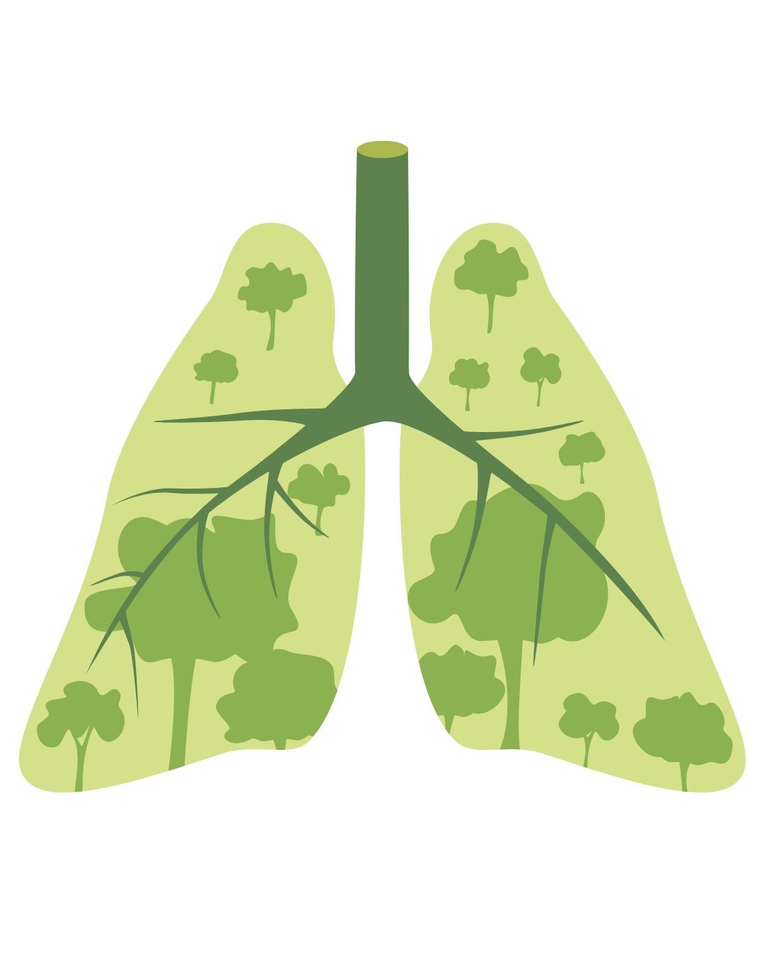 CONTAMINACION MURO VERDE