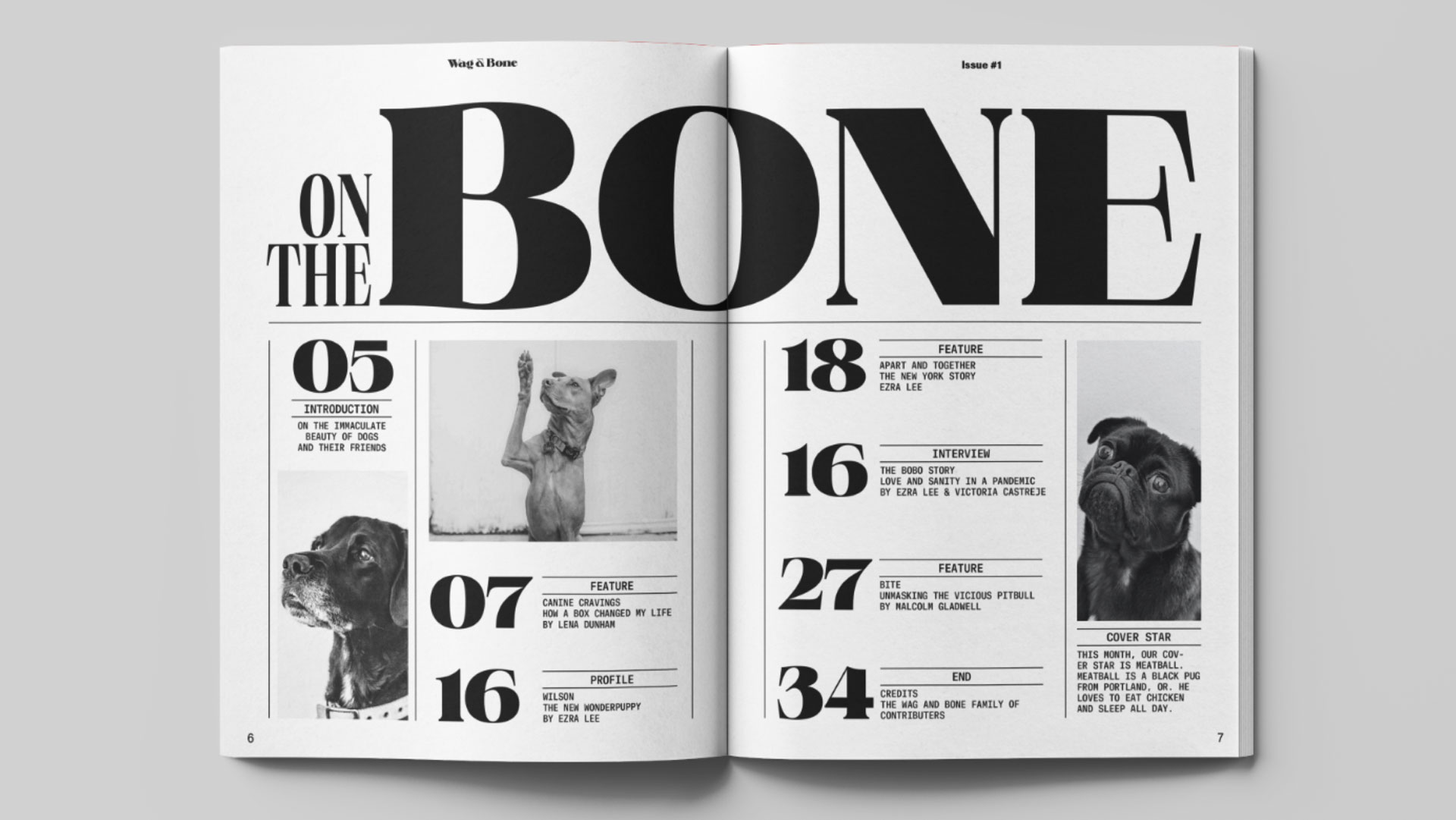zra Lee magazine design - Wag & Bone
