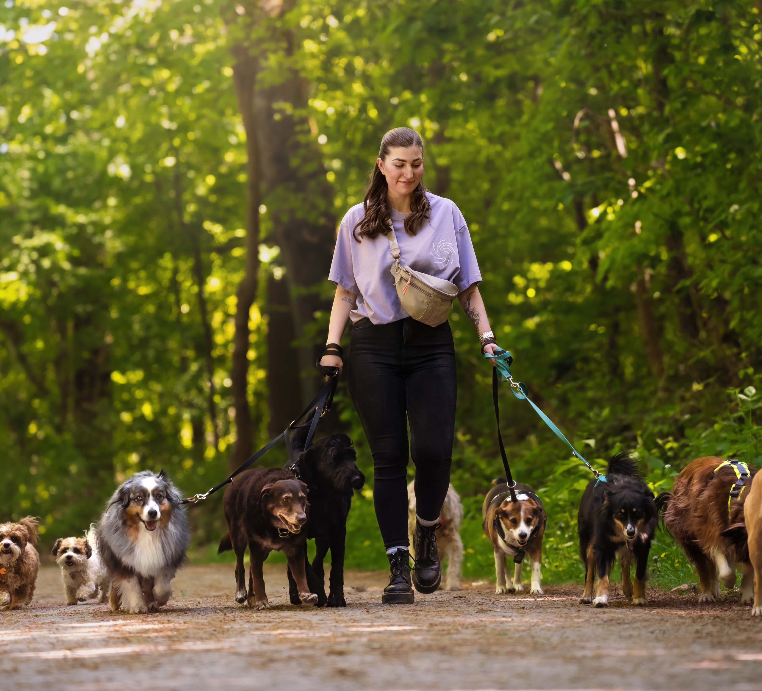 Xenia auf einem Weg mit ihrer Hundegruppe