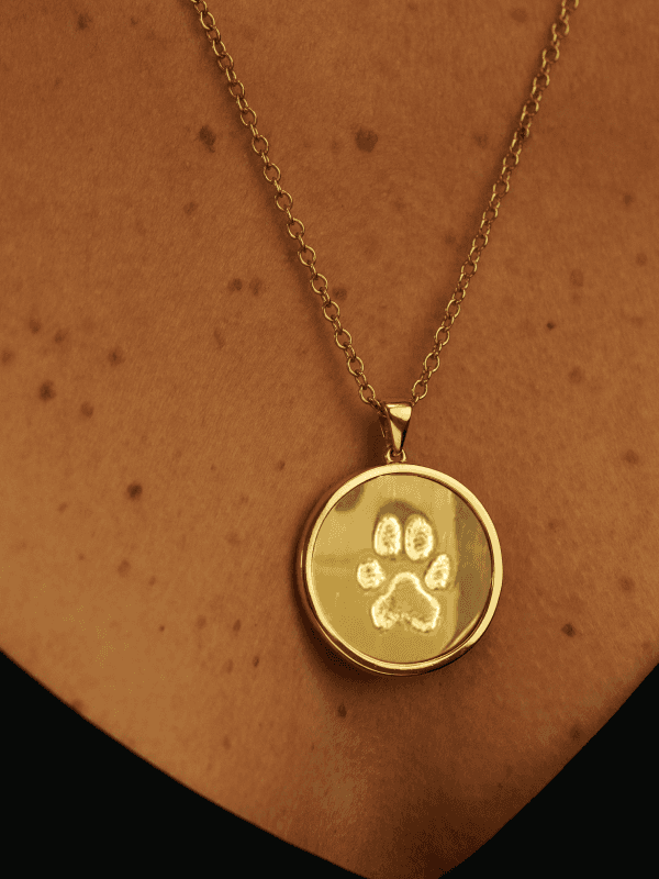 Paw print jewelry mobile hero image