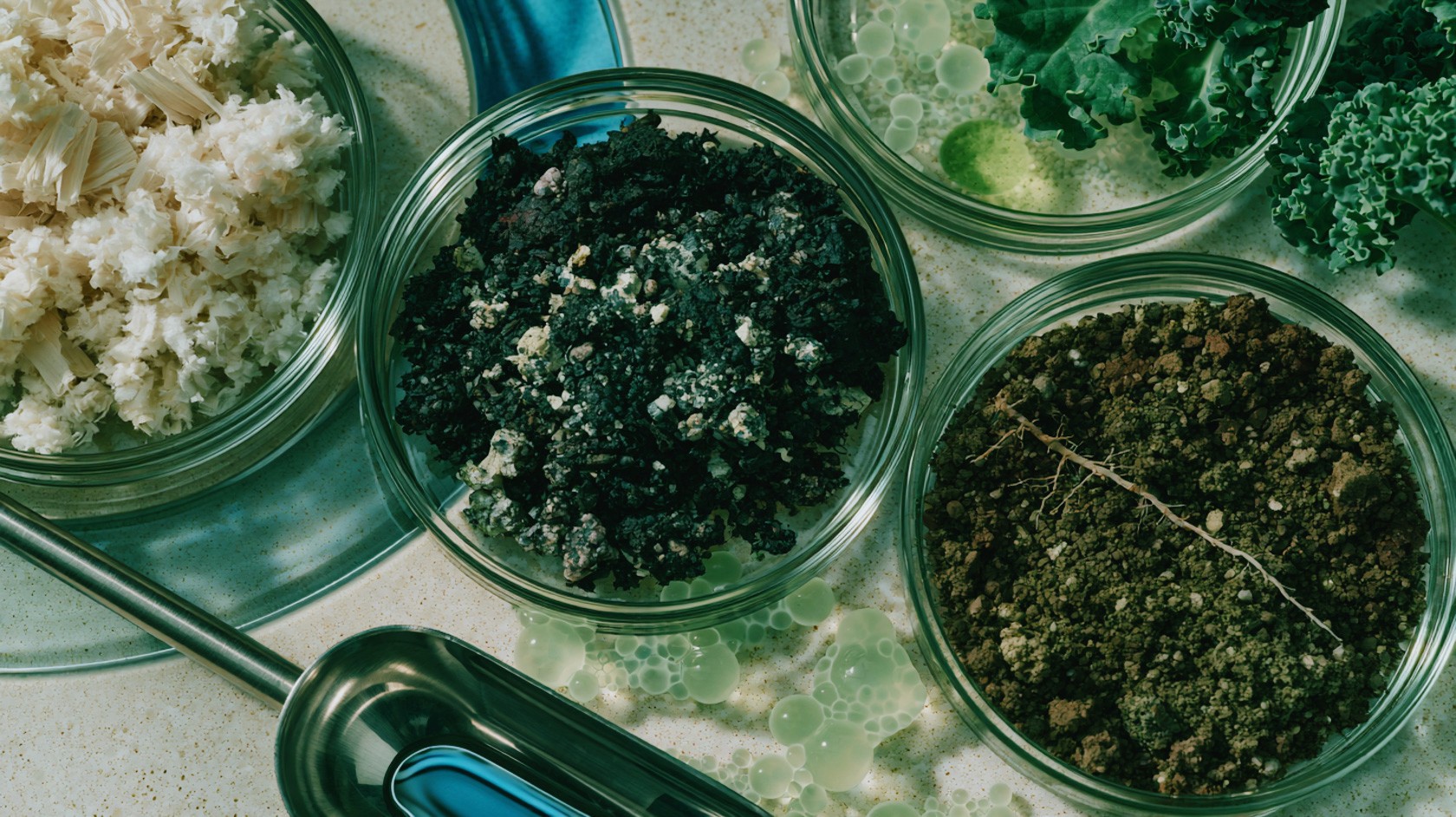 Muestras de suelo y materiales en contenedores de laboratorio: ceniza blanca, biochar oscuro, tierra con raíces y solución verde.