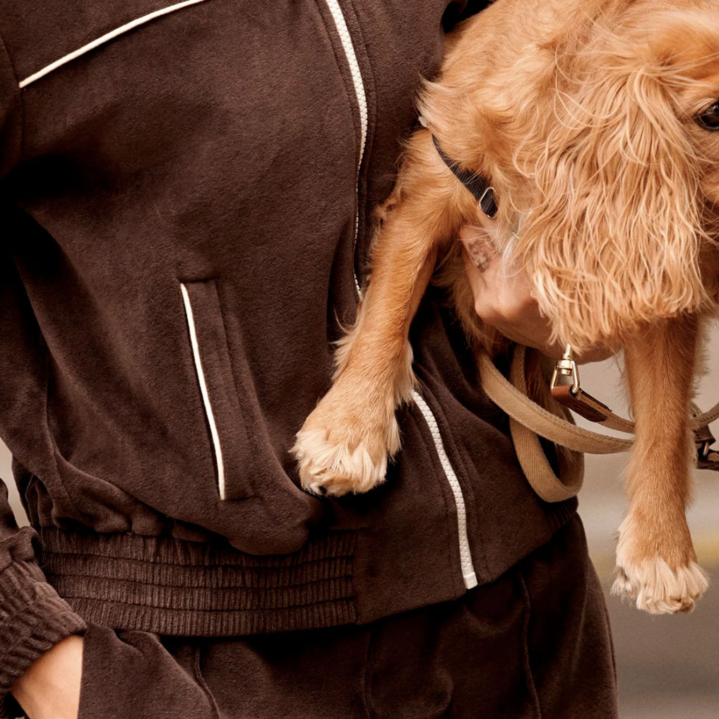 BELLAVISTA ESSENTIAL